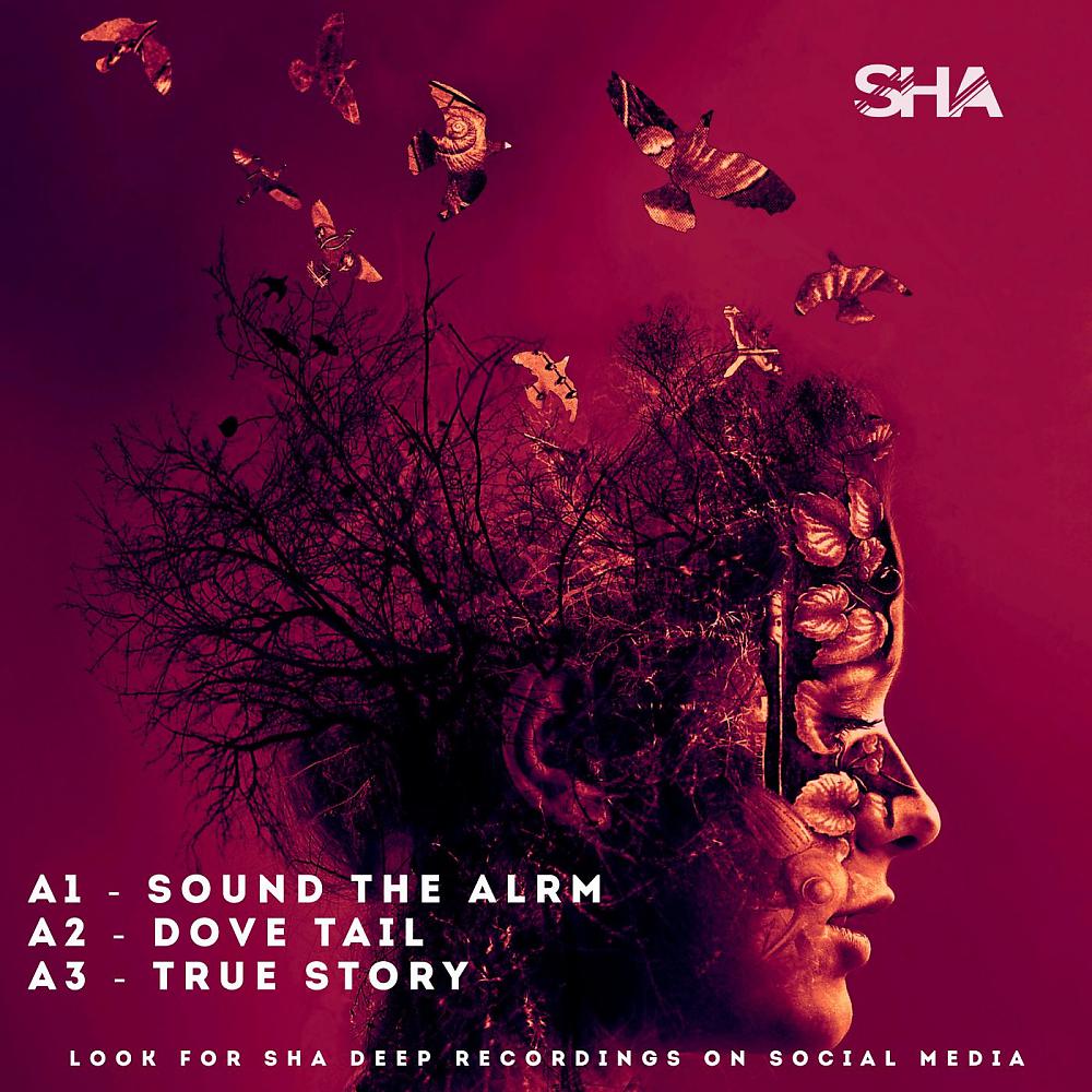 Постер альбома Sound The Alarm E.P.