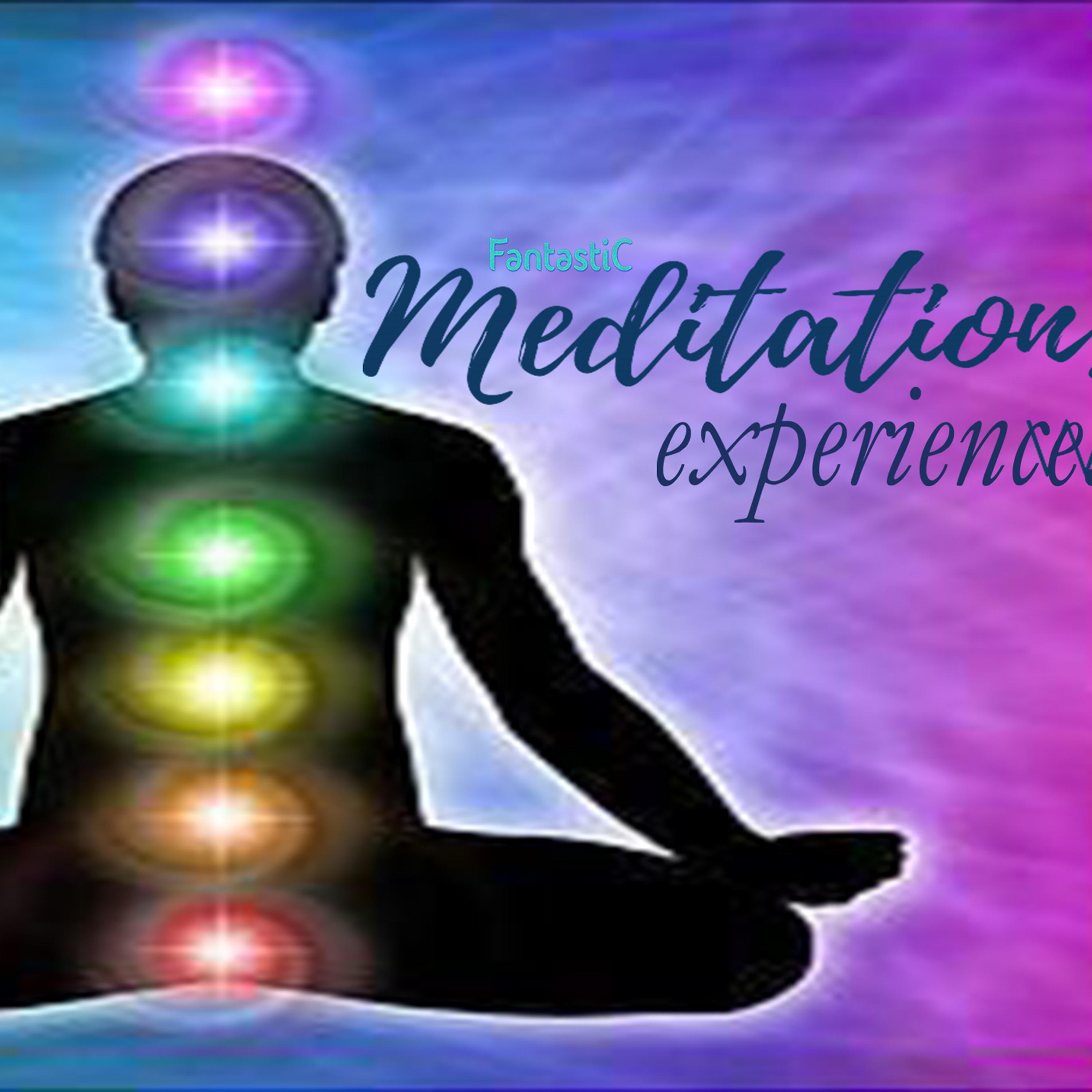 Постер альбома Fantastic Meditation Experience