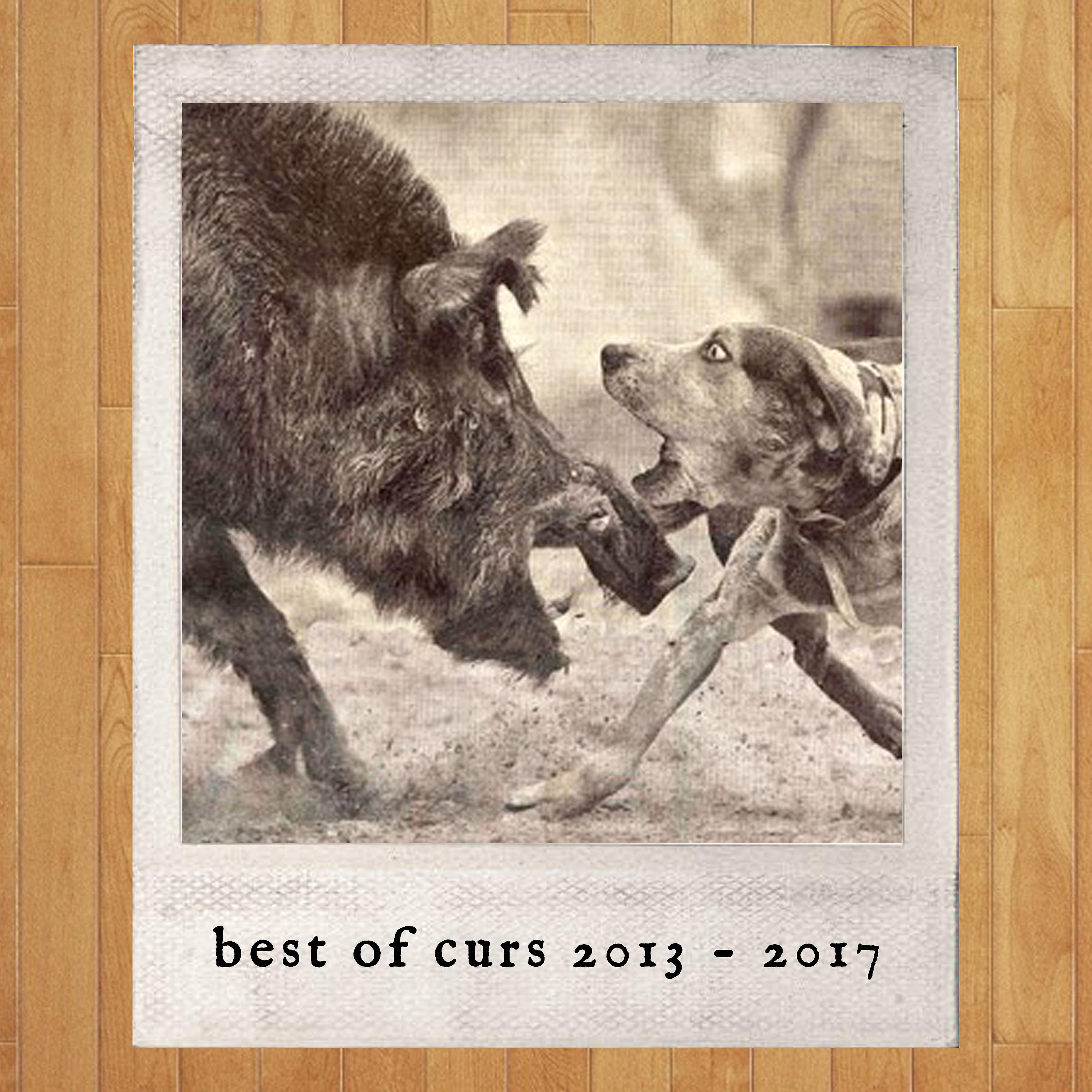 Постер альбома Best of Curs 2013 - 2017