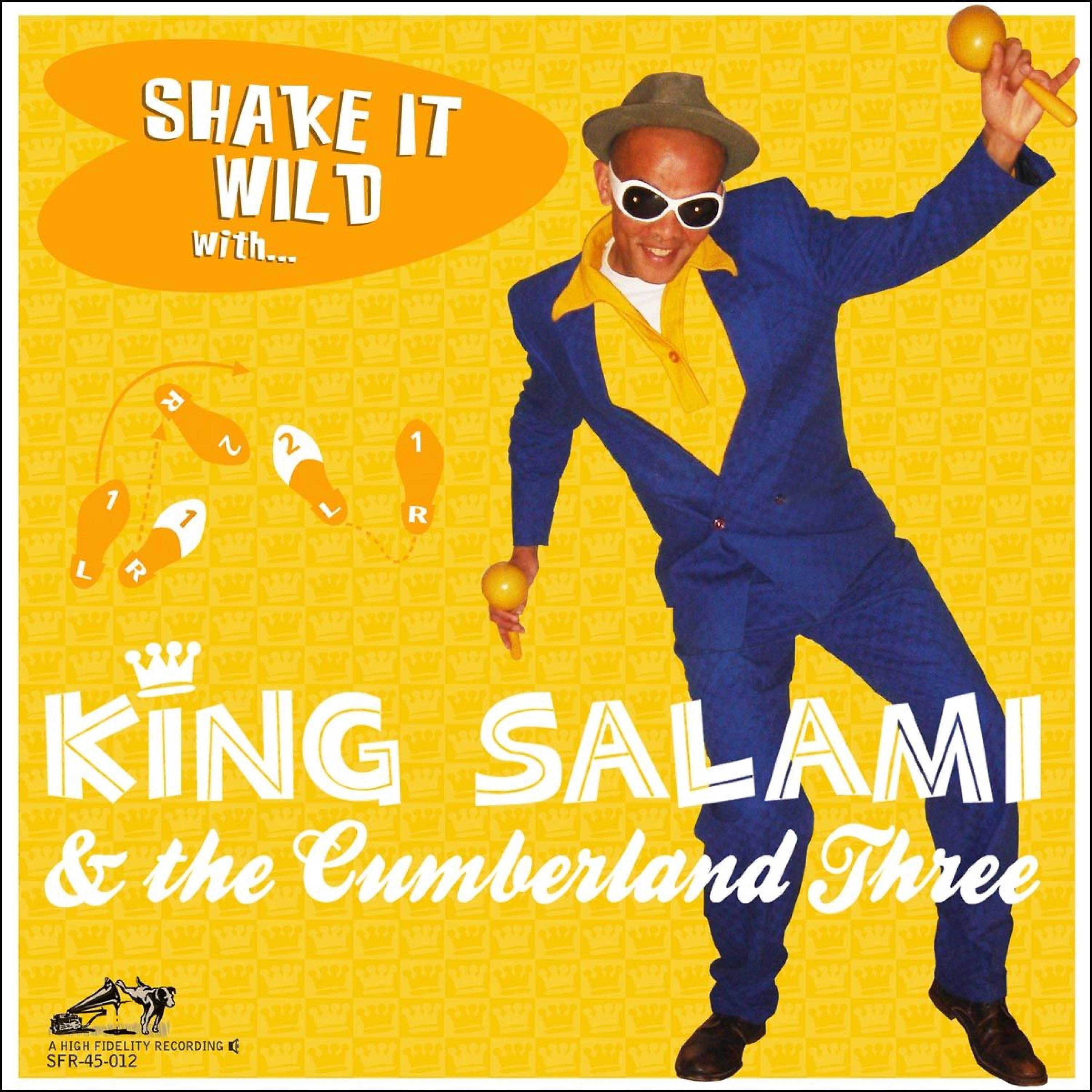 Постер альбома Shake It Wild