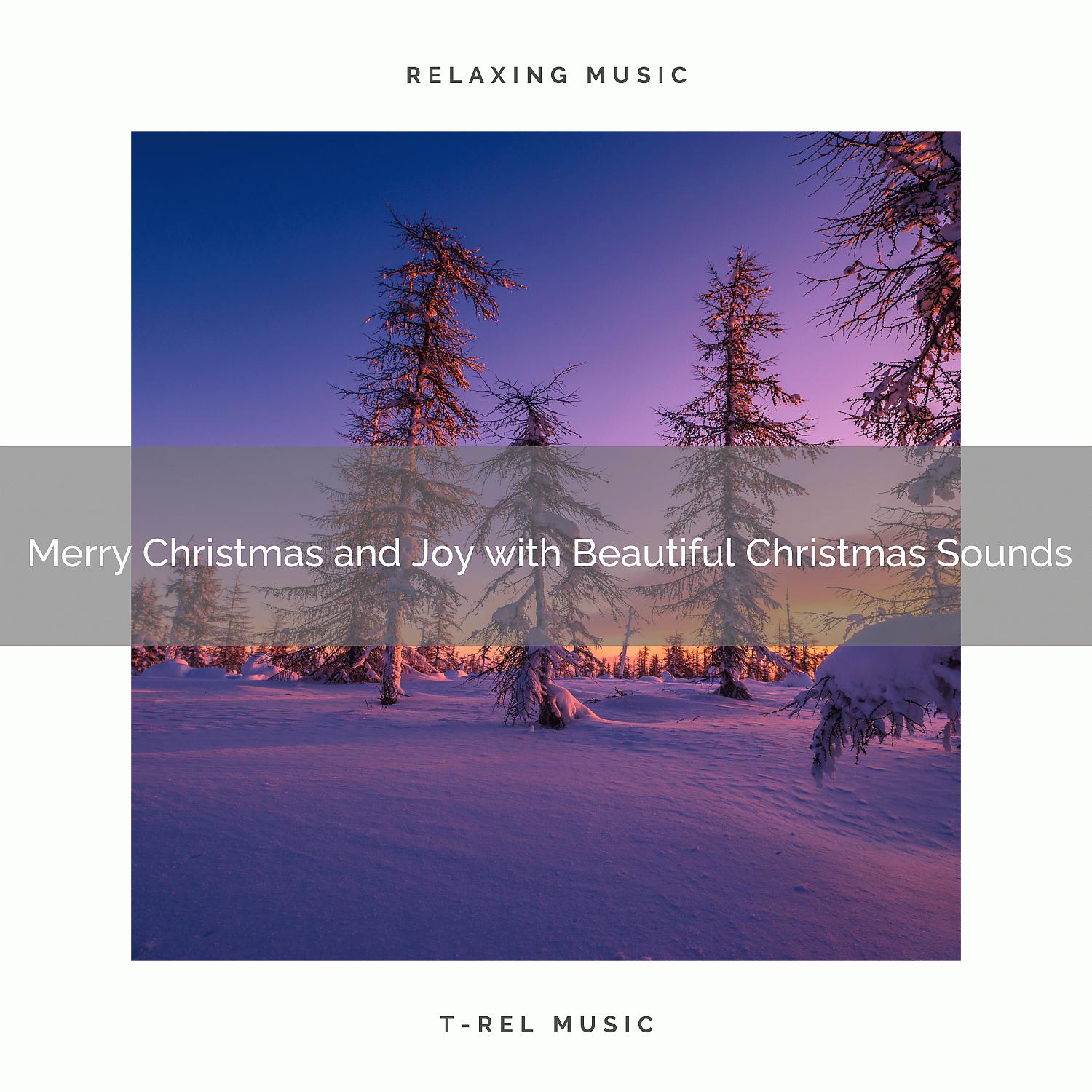 Постер альбома Merry Christmas and Joy with Beautiful Christmas Sounds