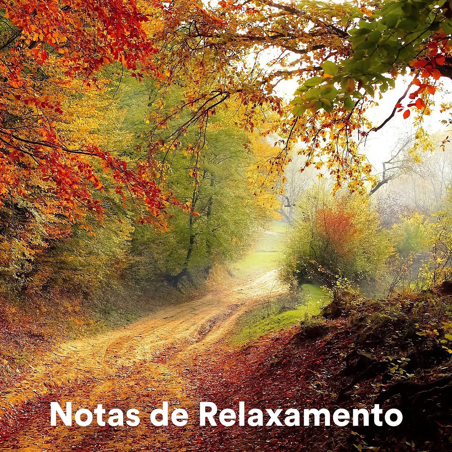 Постер альбома Notas de Relaxamento