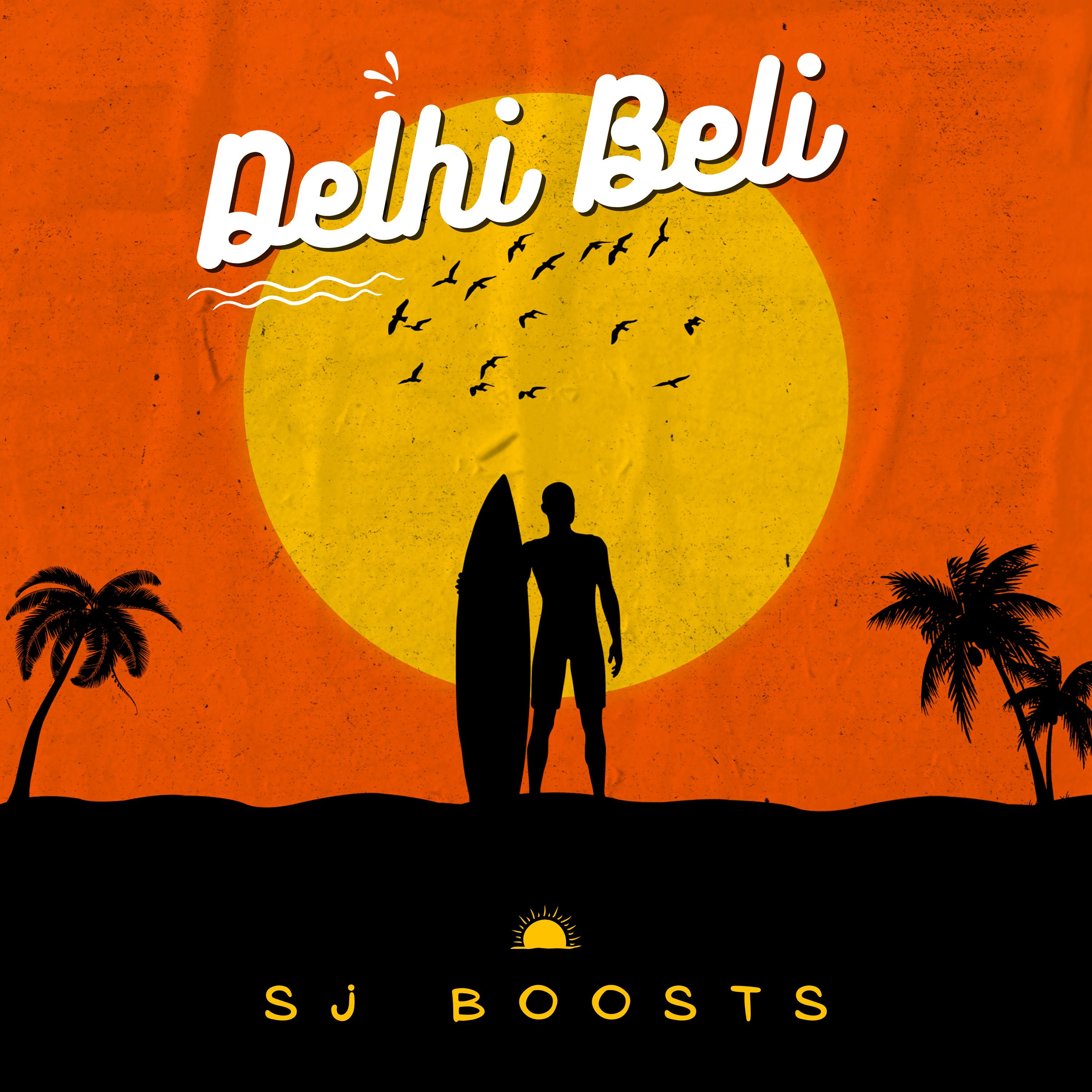 Постер альбома Delhi Beli