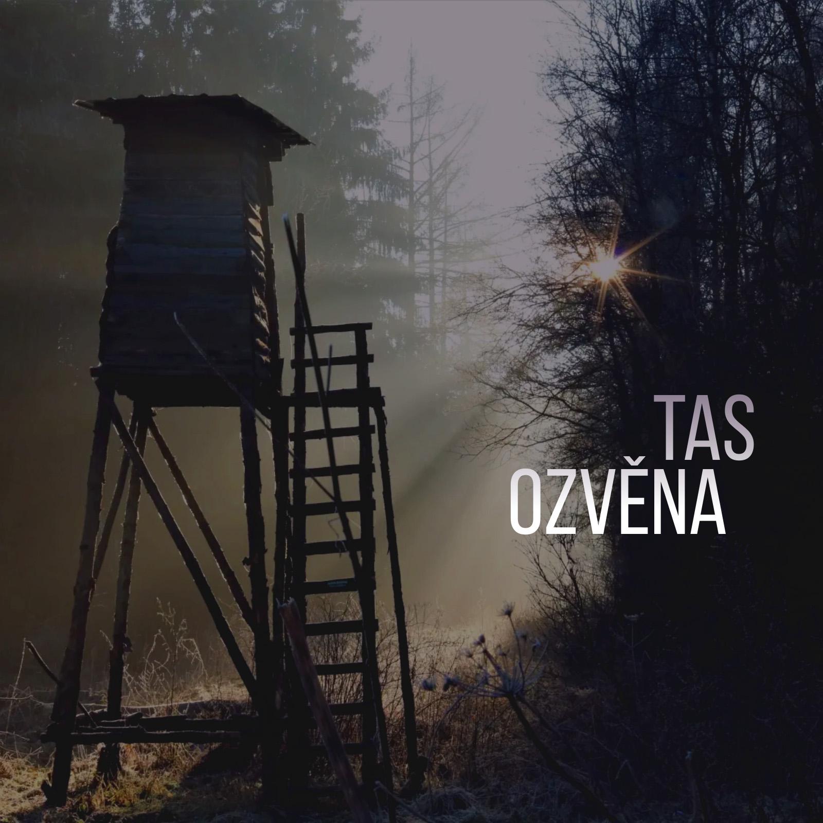 Постер альбома Ozvěna