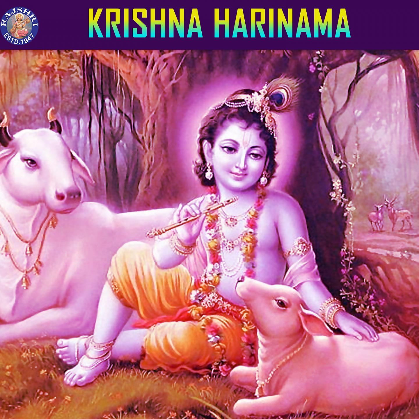 Постер альбома Krishna Harinama