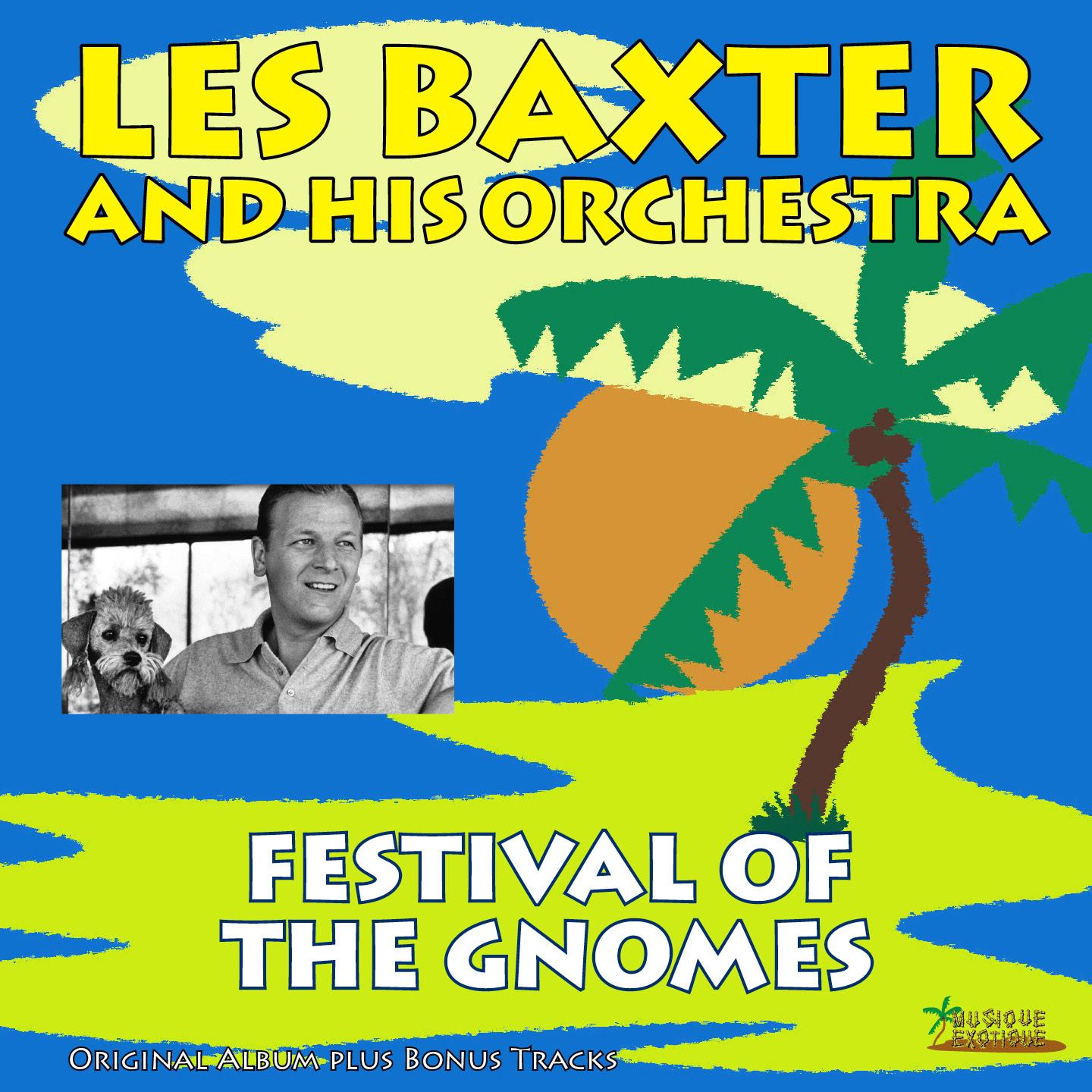 Постер альбома Festival of the Gnomes