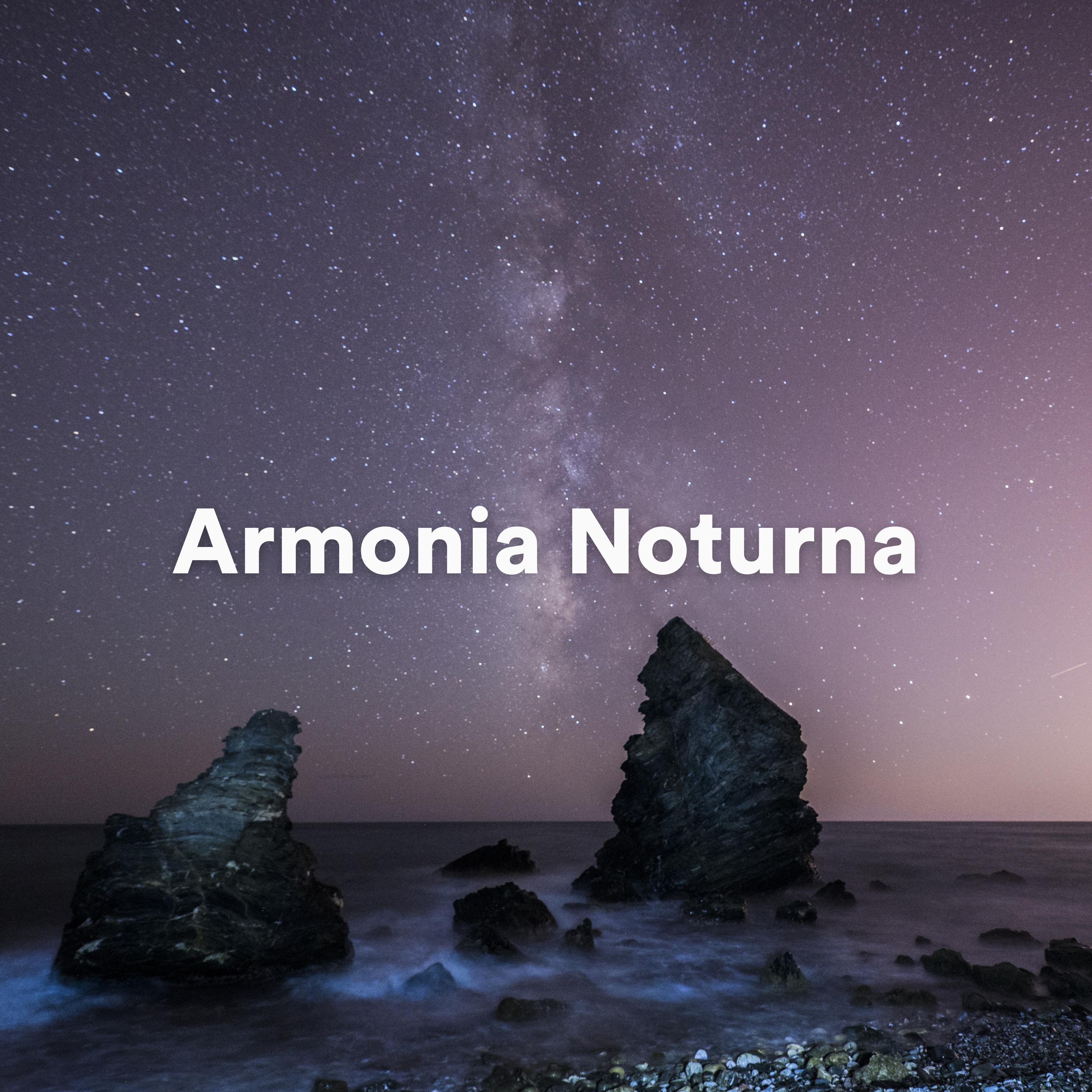 Постер альбома Armonia Noturna