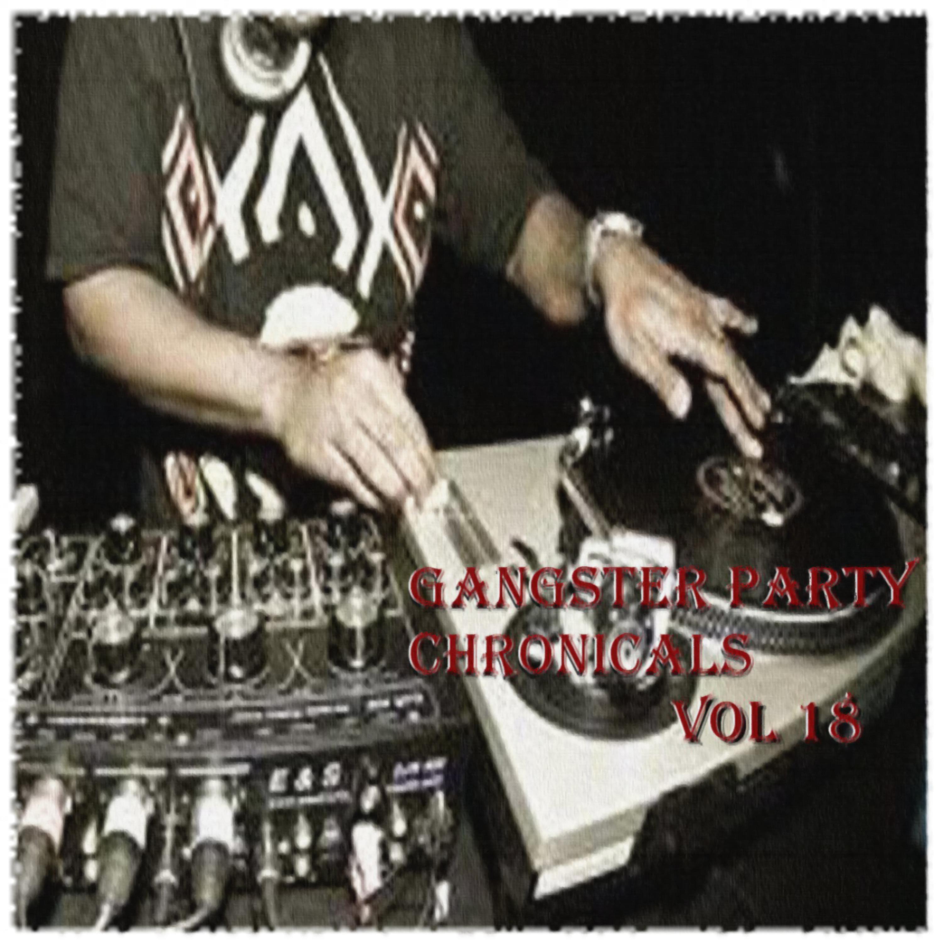 Постер альбома Gangster Party Chronicals, Vol. 18