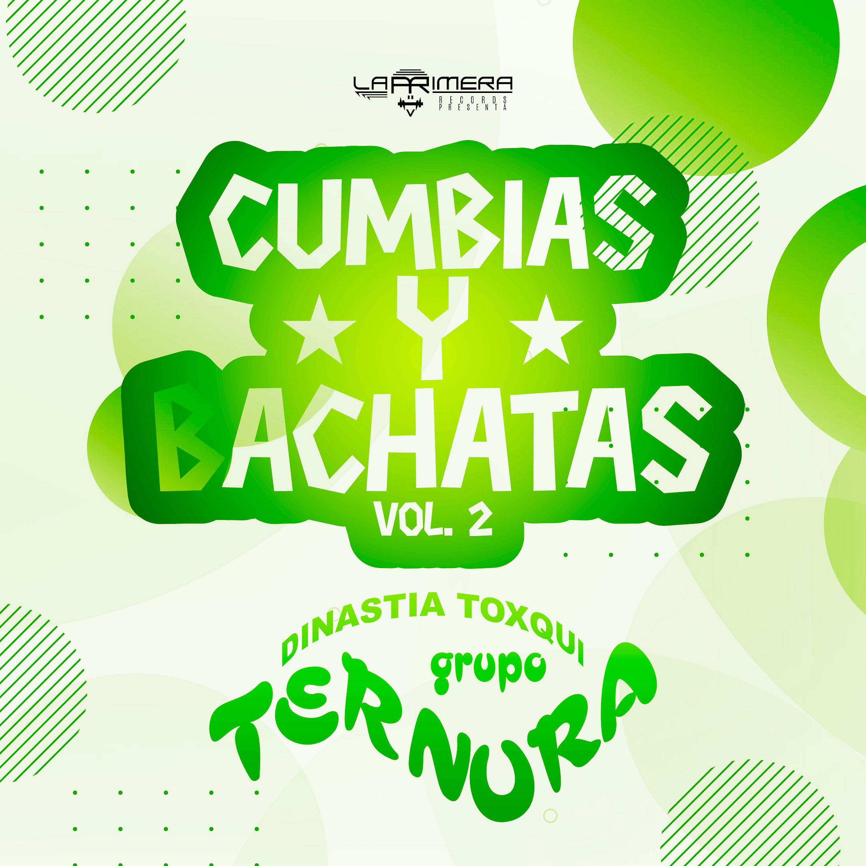 Постер альбома Cumbias y Bachatas Vol.2