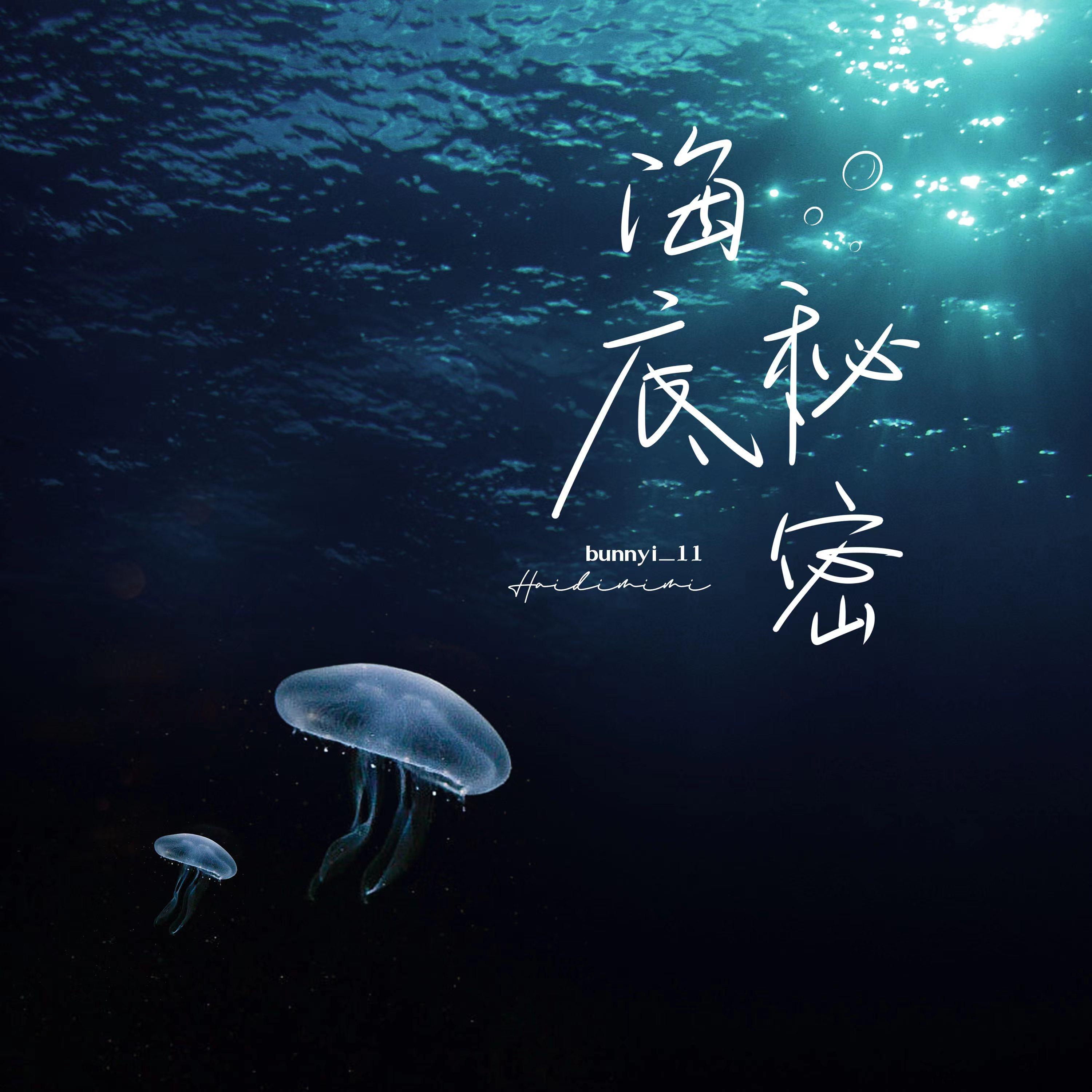 Постер альбома 海底秘密