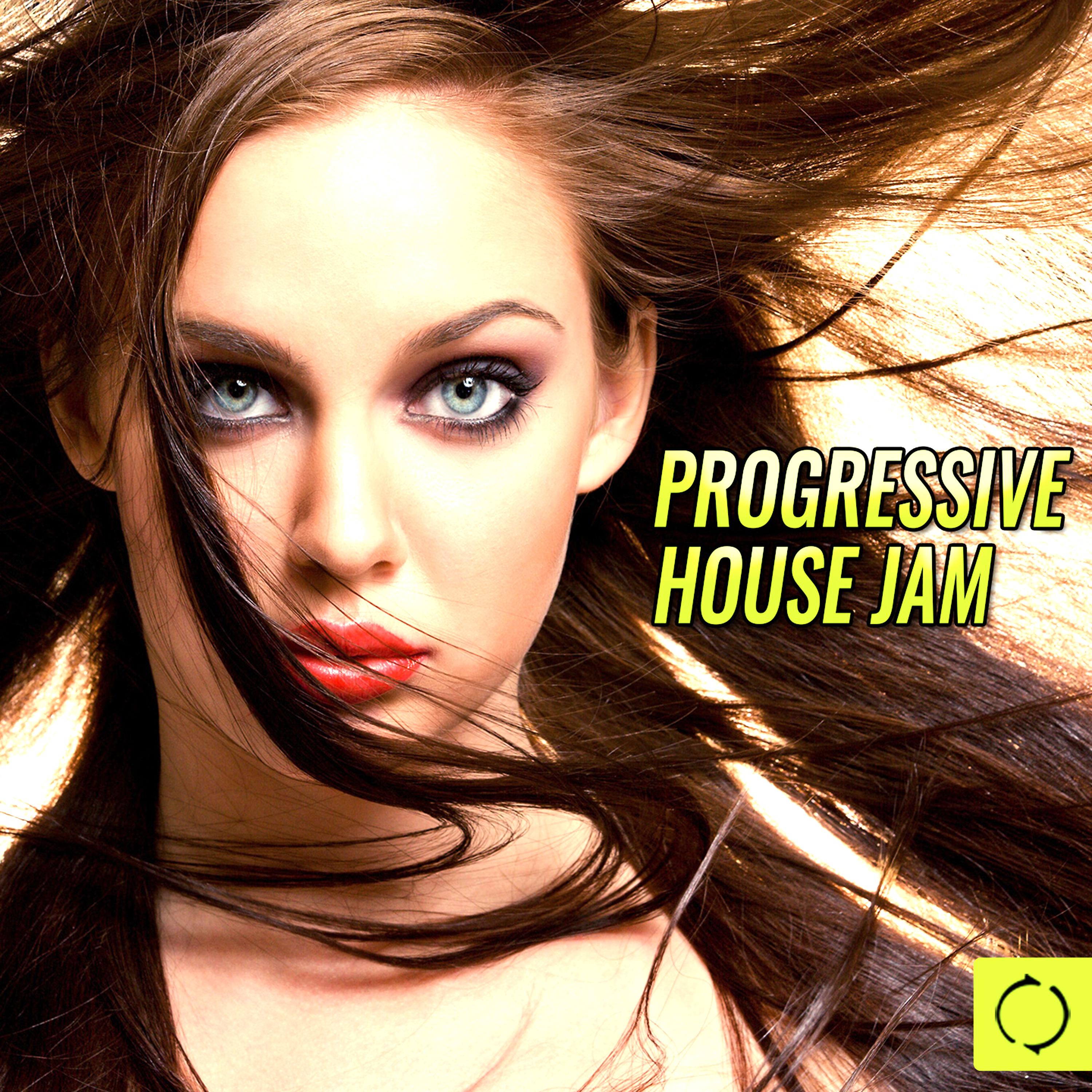 Постер альбома Progressive House Jam
