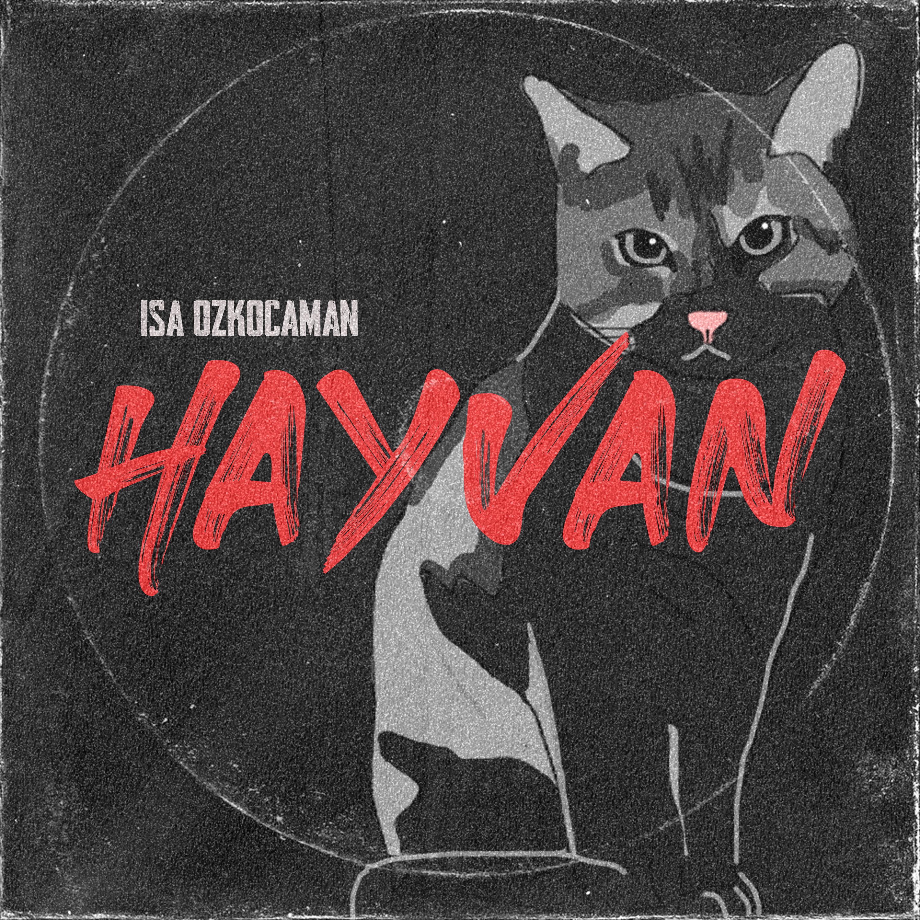 Постер альбома HAYVAN