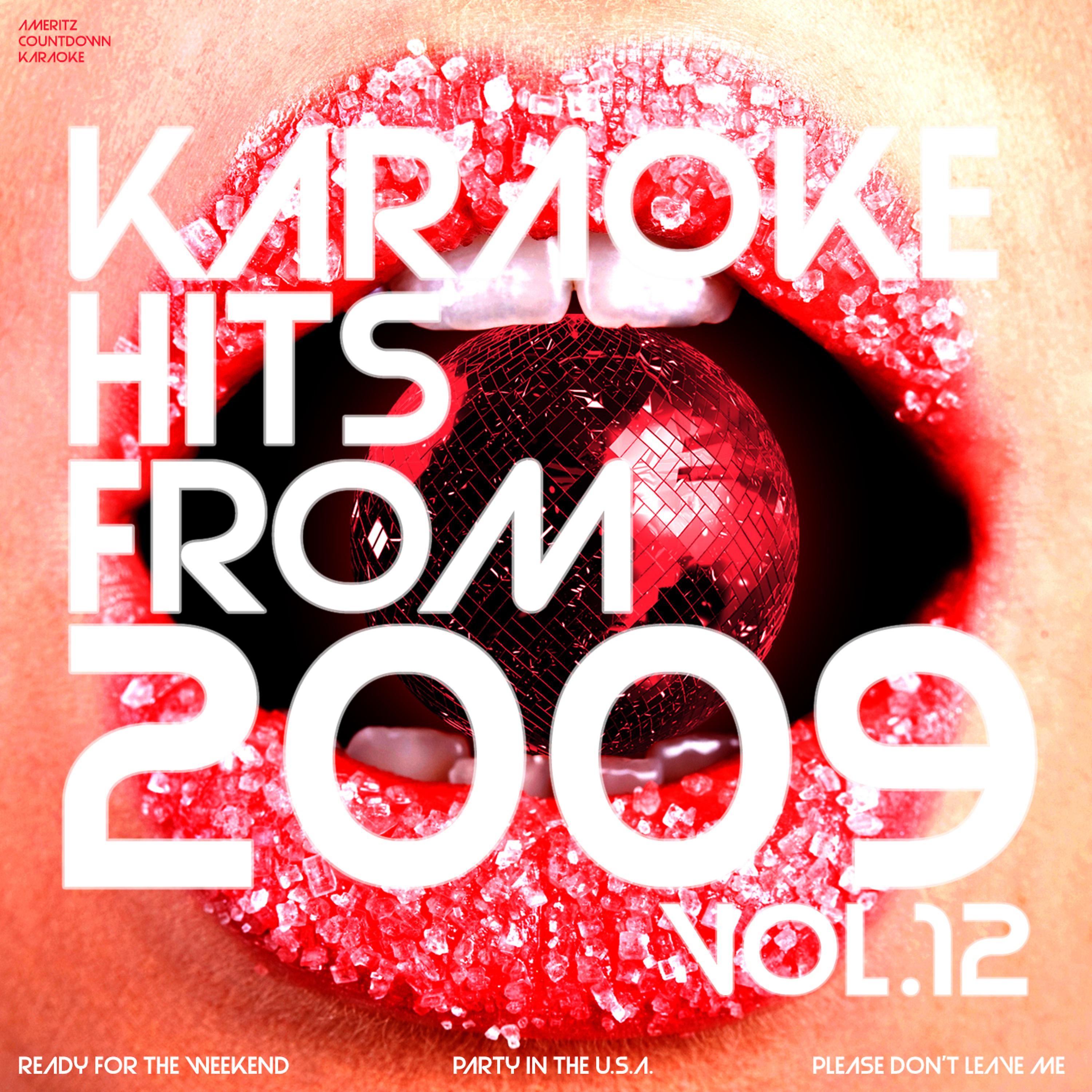 Постер альбома Karaoke Hits from 2009, Vol. 12