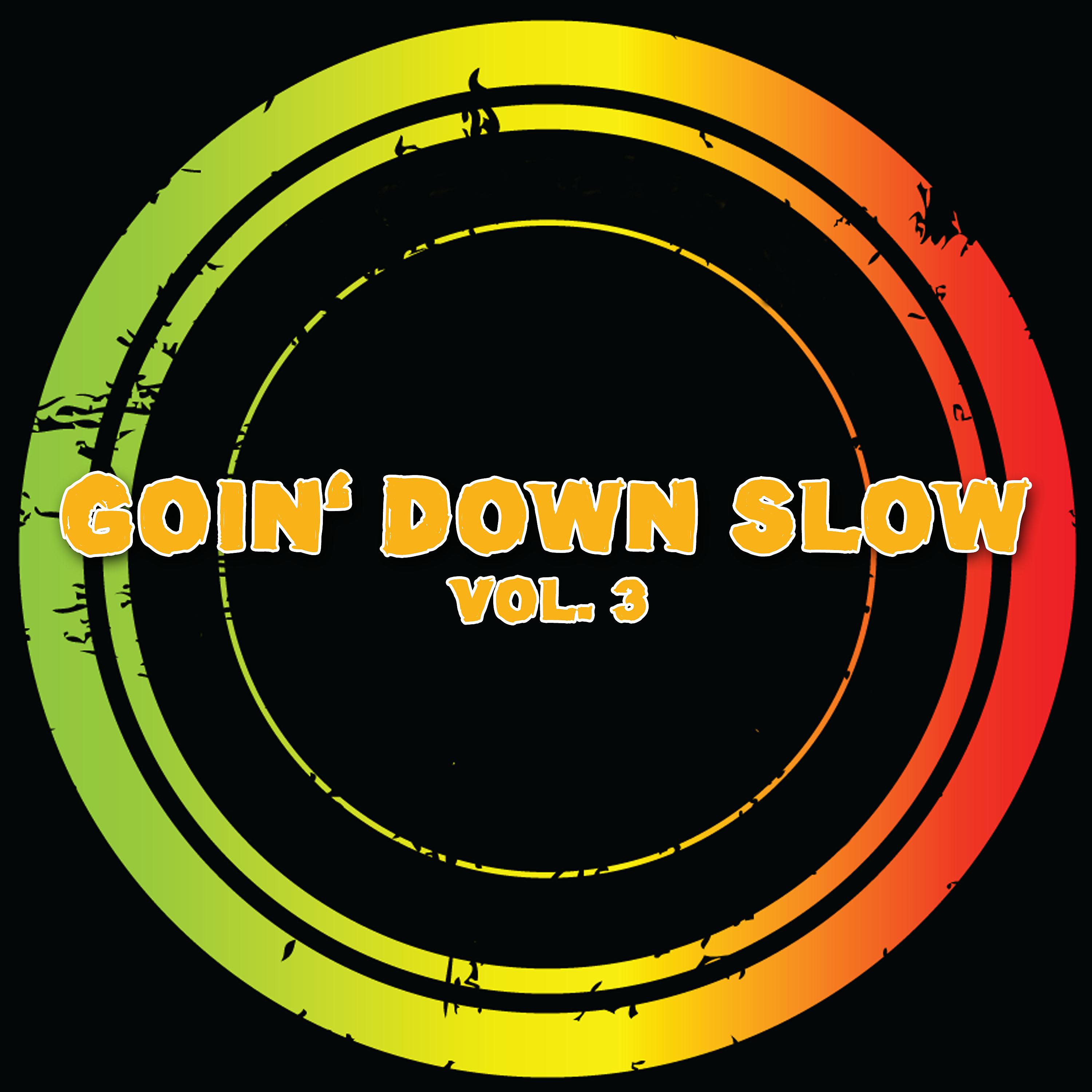 Постер альбома Goin' Down Slow, Vol. 3