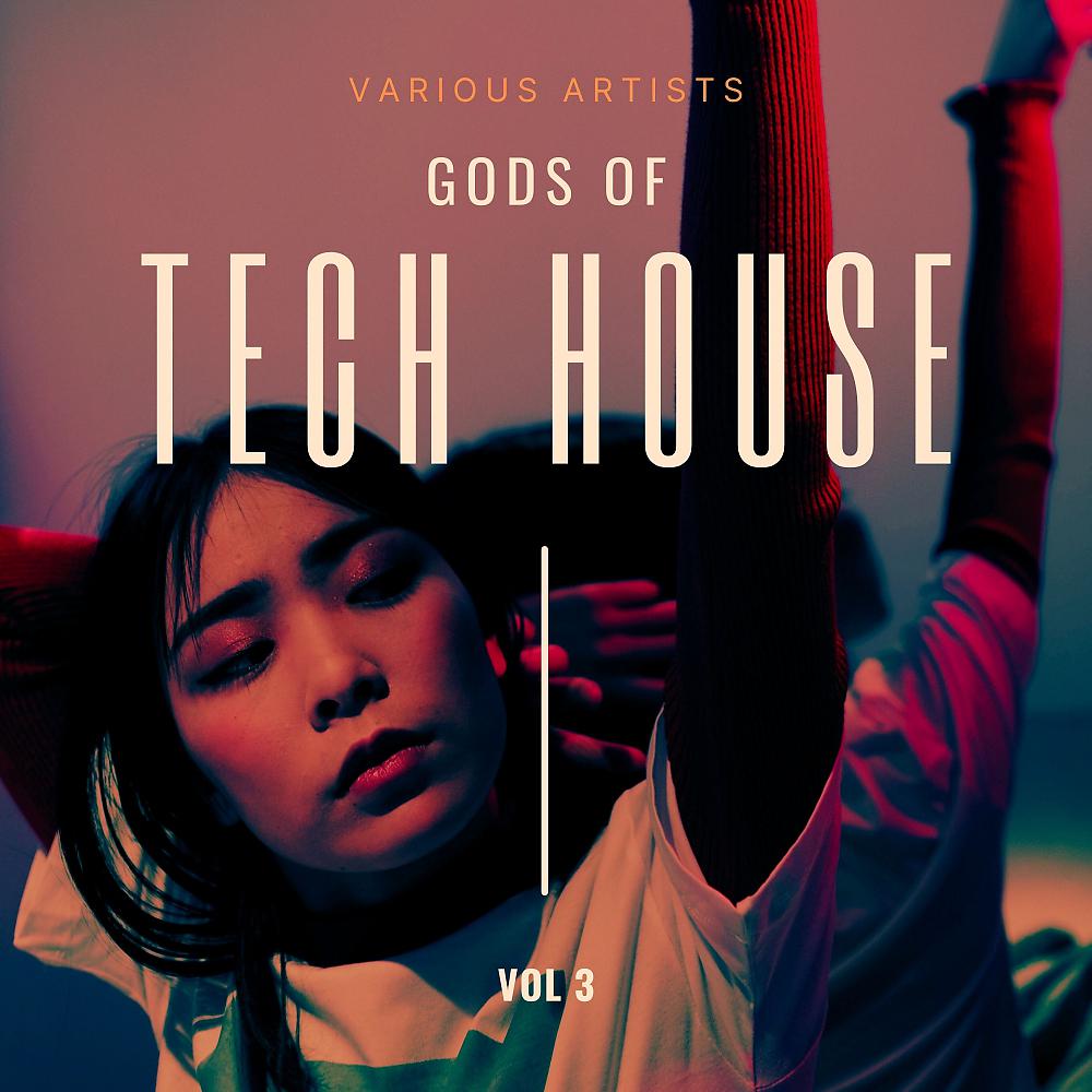 Постер альбома Gods of Tech House, Vol. 3