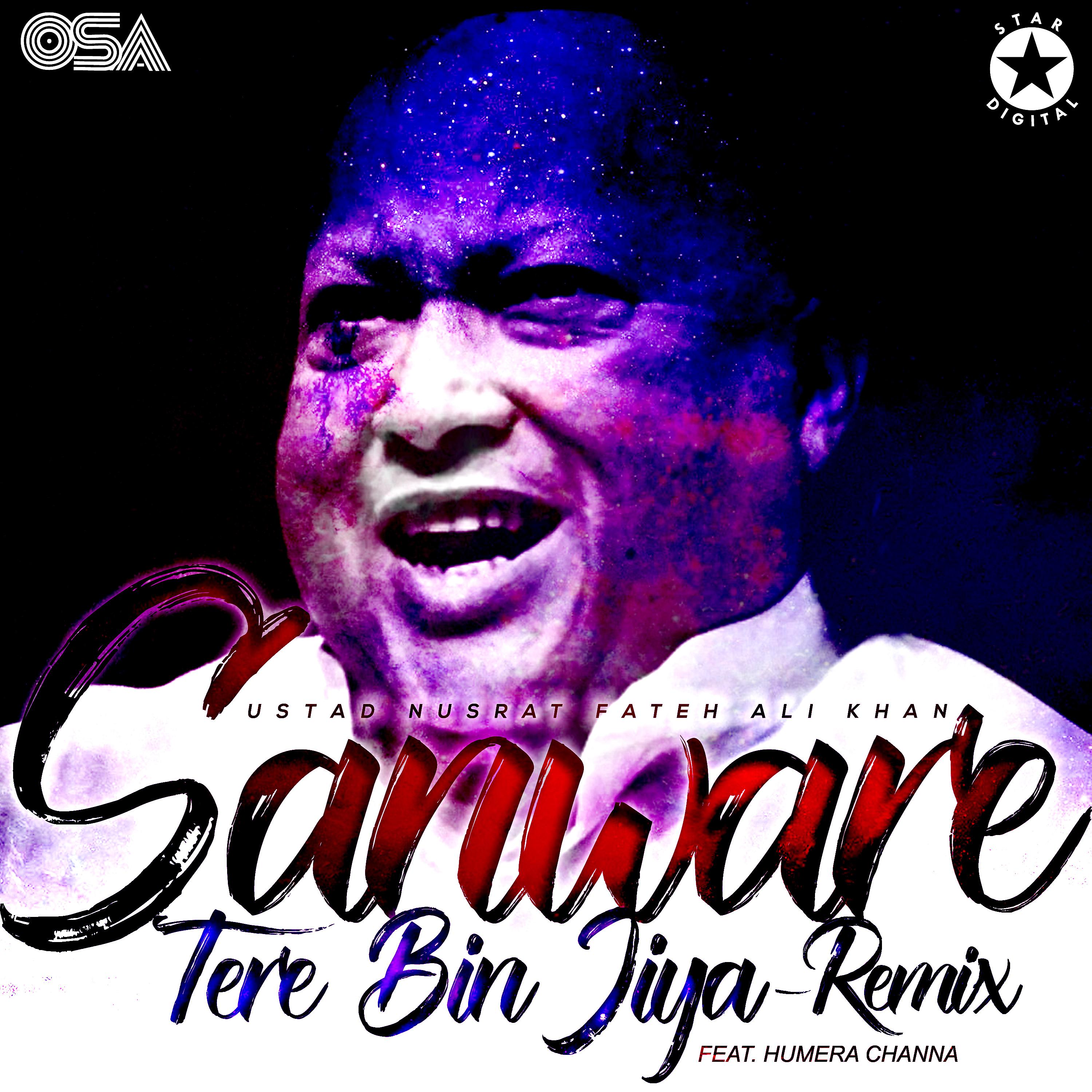 Постер альбома Sanware Tere Bin Jiya