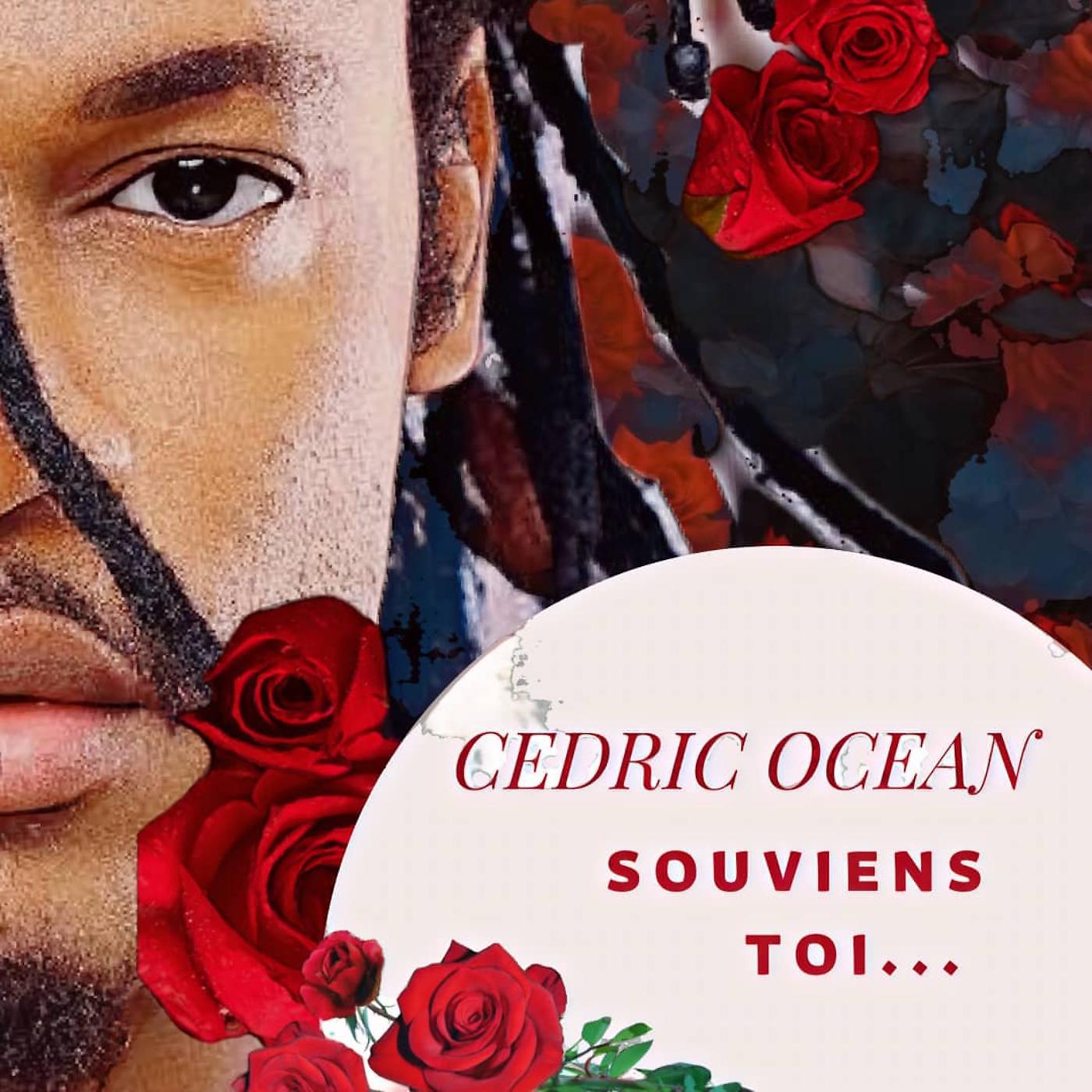 Постер альбома Souviens toi