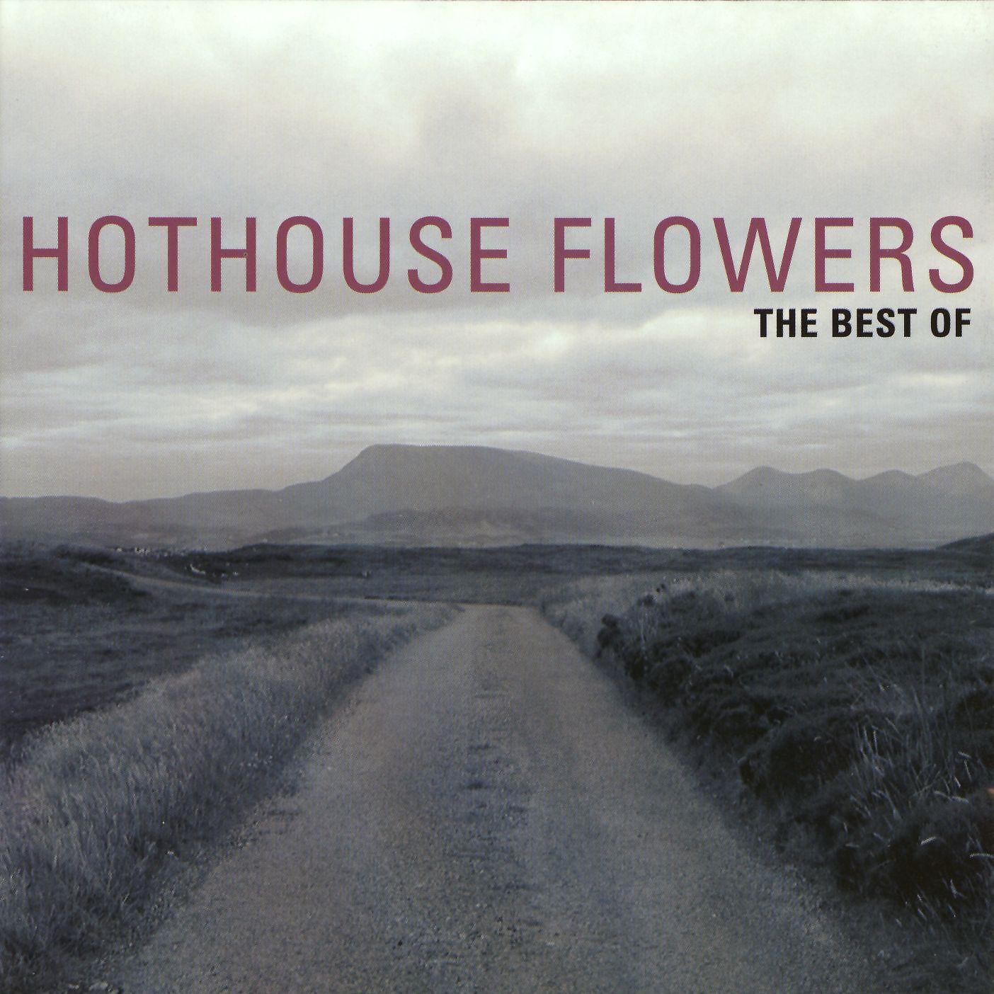 Постер альбома The Best Of Hothouse Flowers