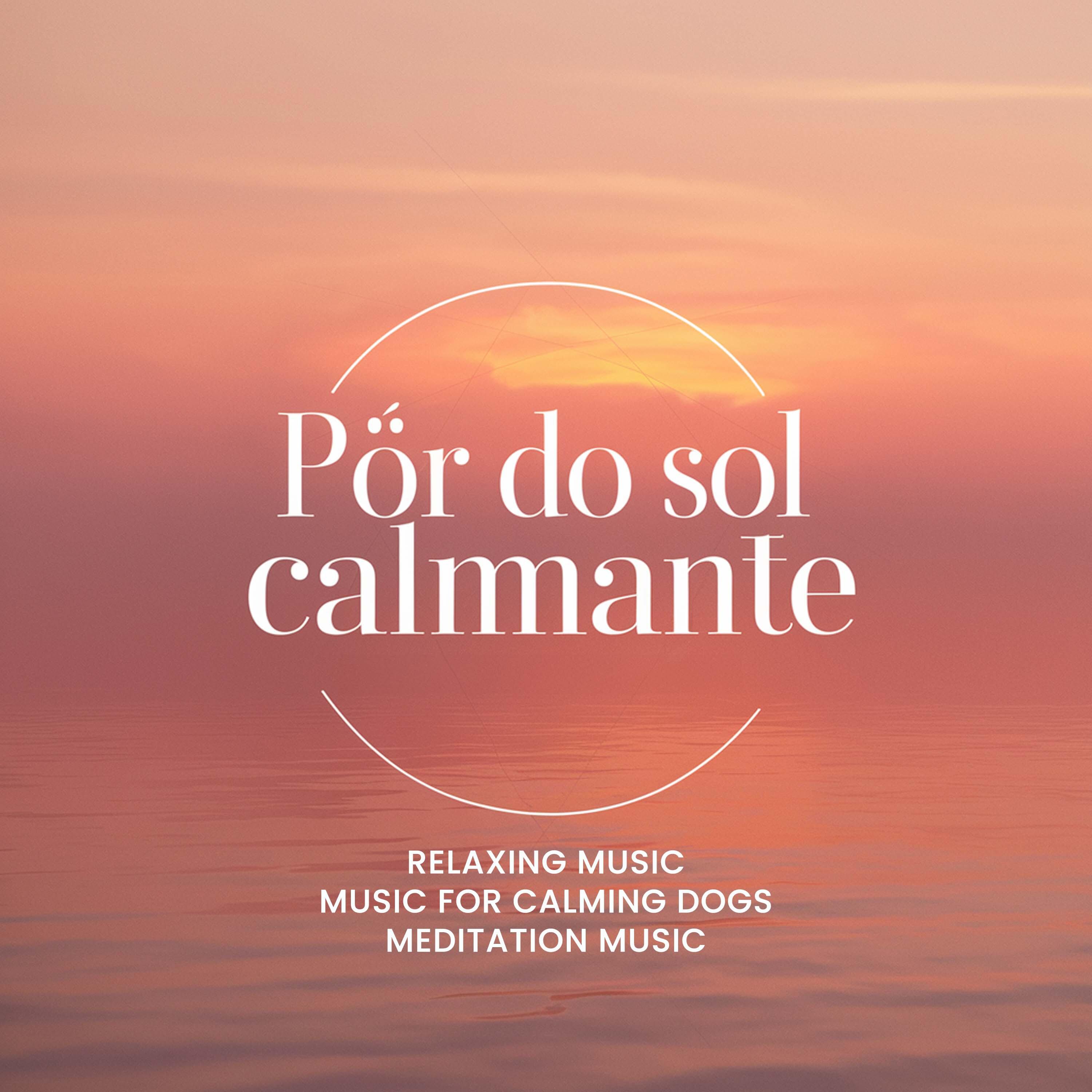 Постер альбома Pôr do Sol Calmante
