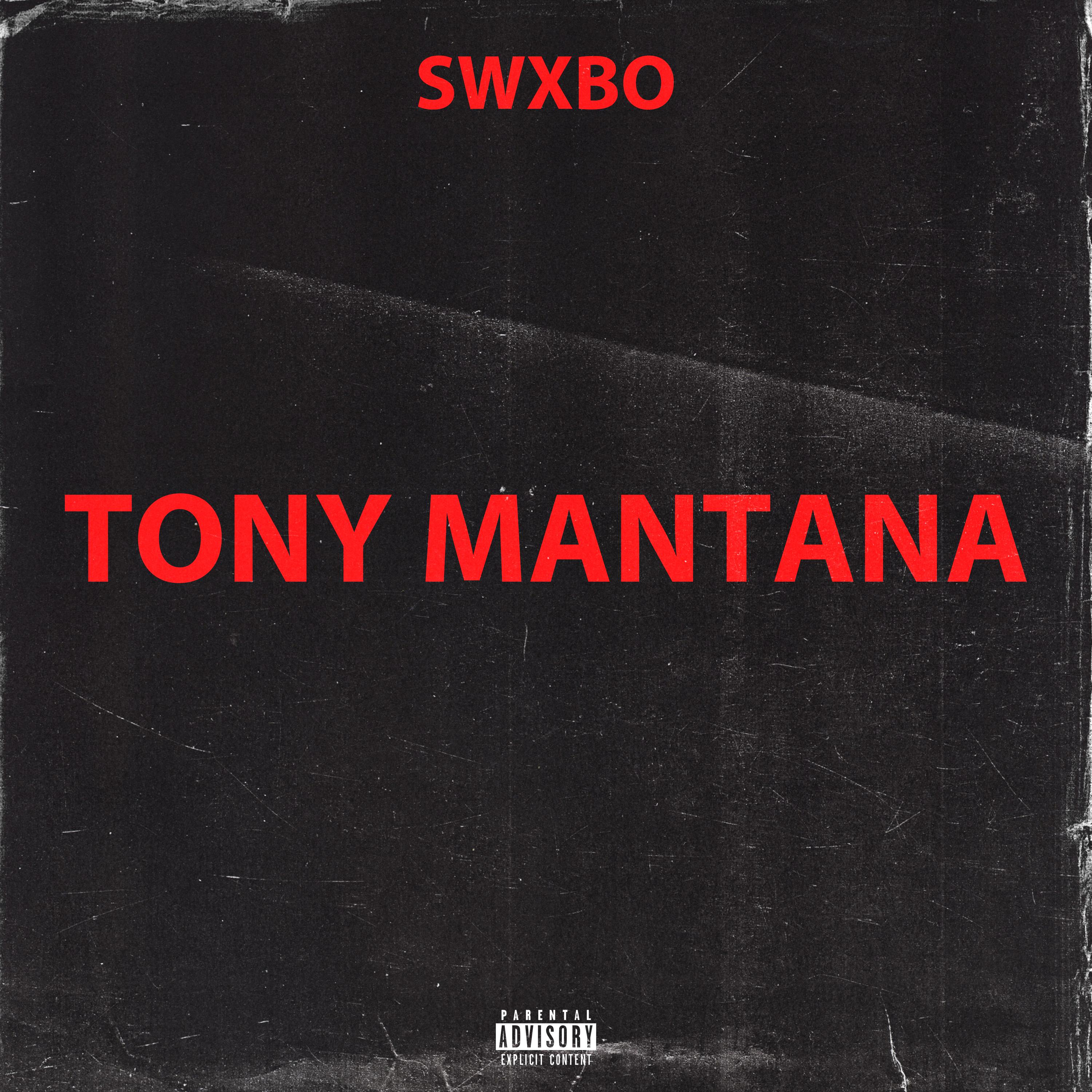 Постер альбома Tony Mantana