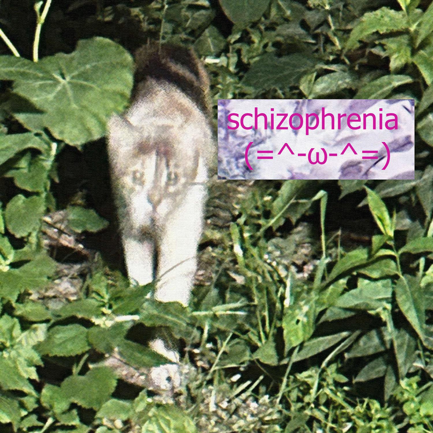 Постер альбома schizophrenia (=^-ω-^=)