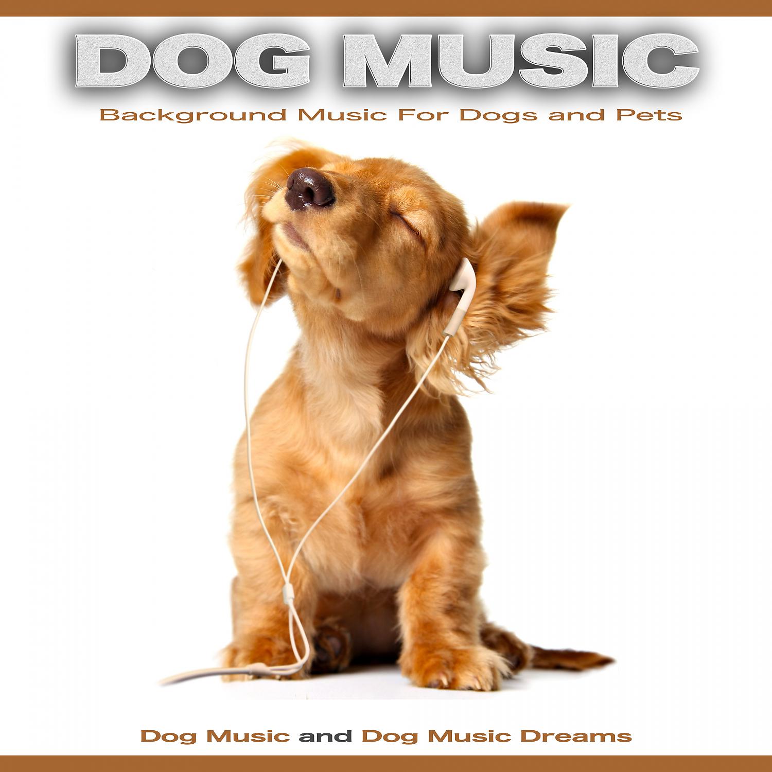Постер альбома Dog Music: Background Music For Dogs and Pets