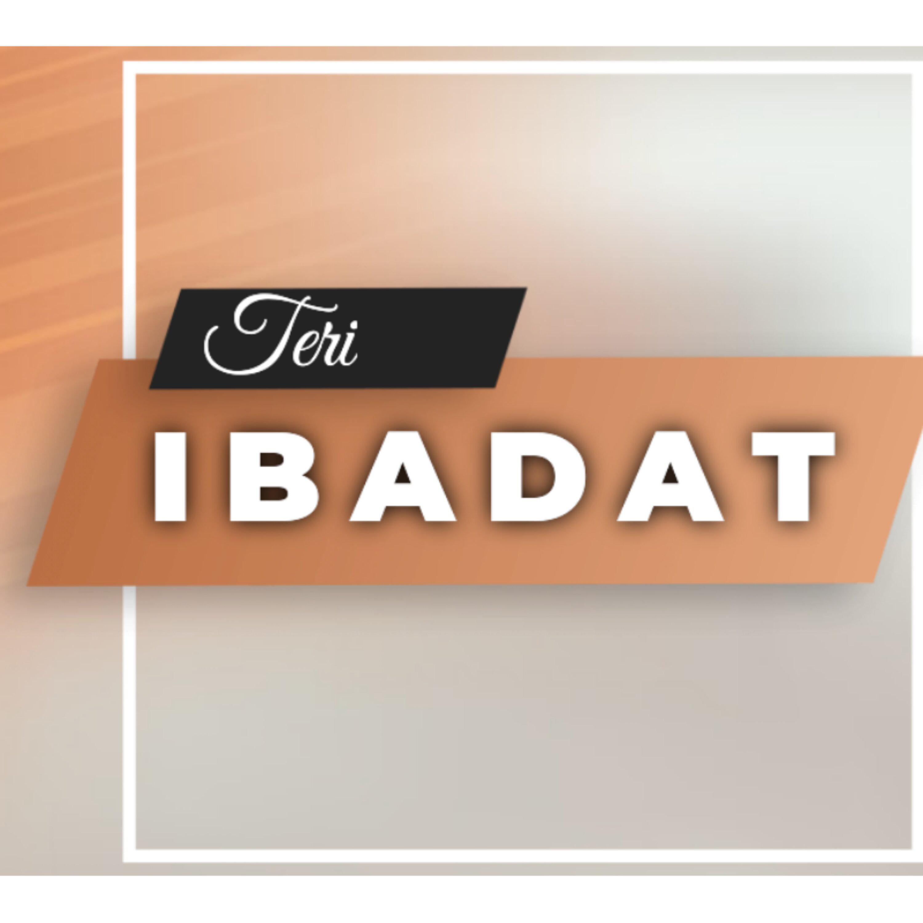 Постер альбома Teri Ibadat
