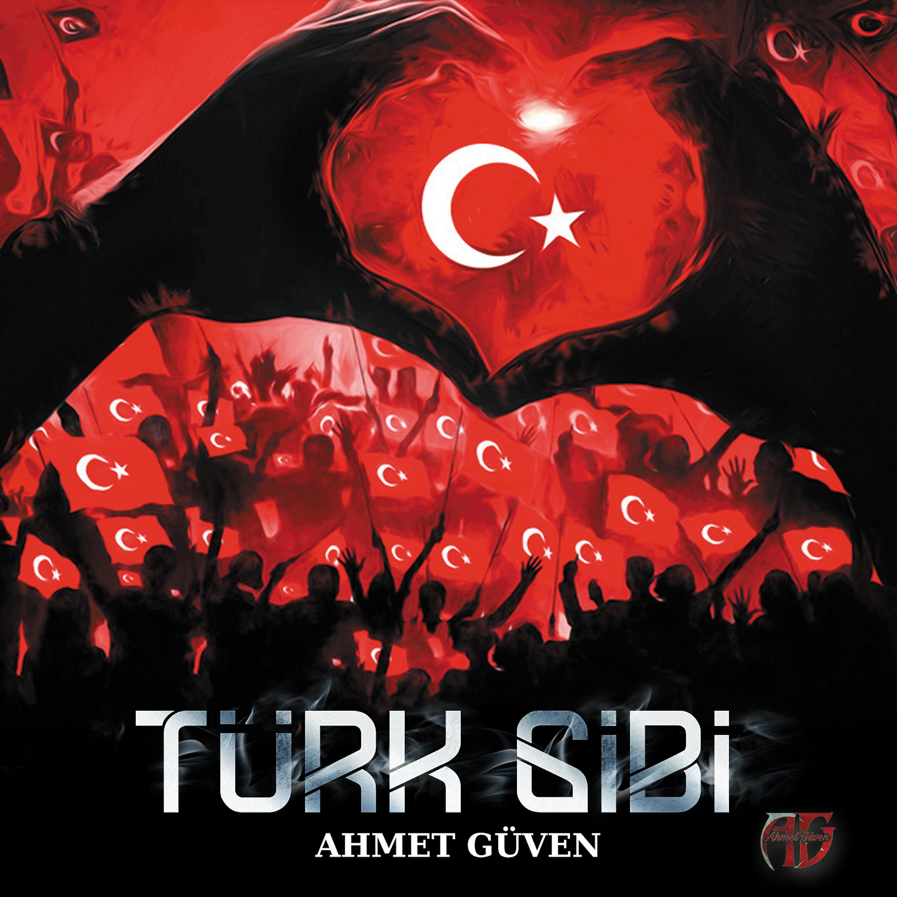Постер альбома Türk Gibi
