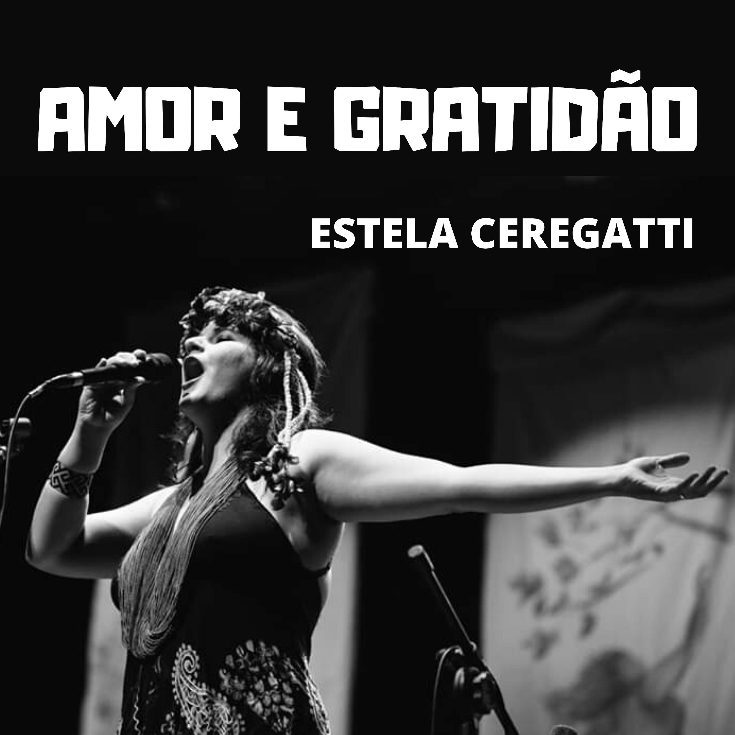 Постер альбома Amor e Gratidão - Ao Vivo