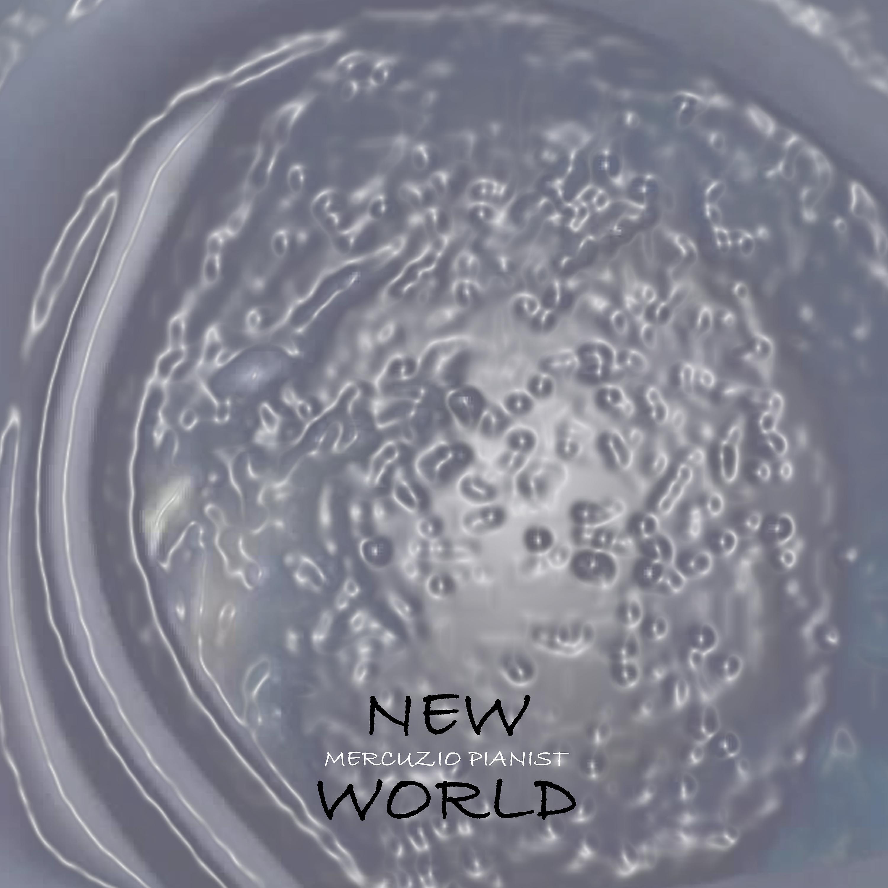 Постер альбома New World
