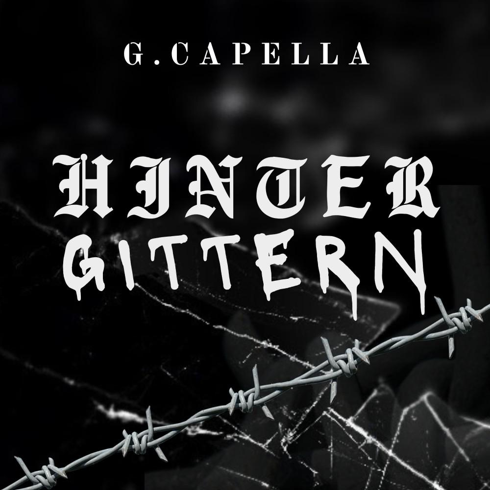 Постер альбома Hinter Gittern