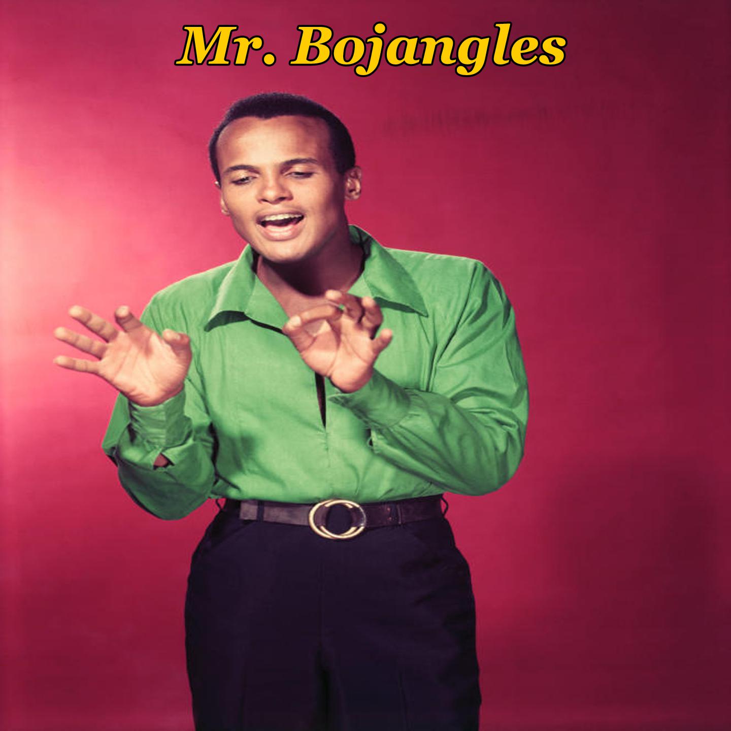 Постер альбома Mr. Bojangles