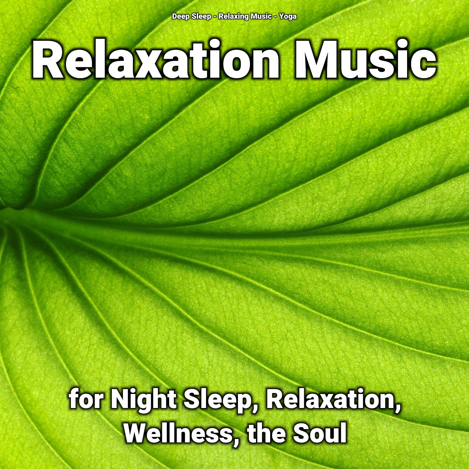 Постер альбома Relaxation Music for Night Sleep, Relaxation, Wellness, the Soul