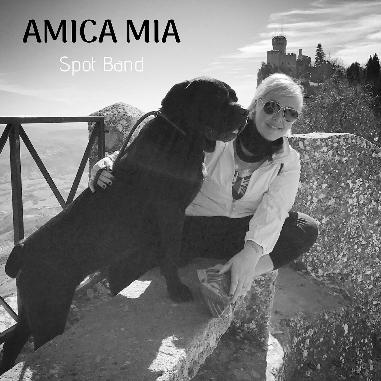 Постер альбома Amica mia