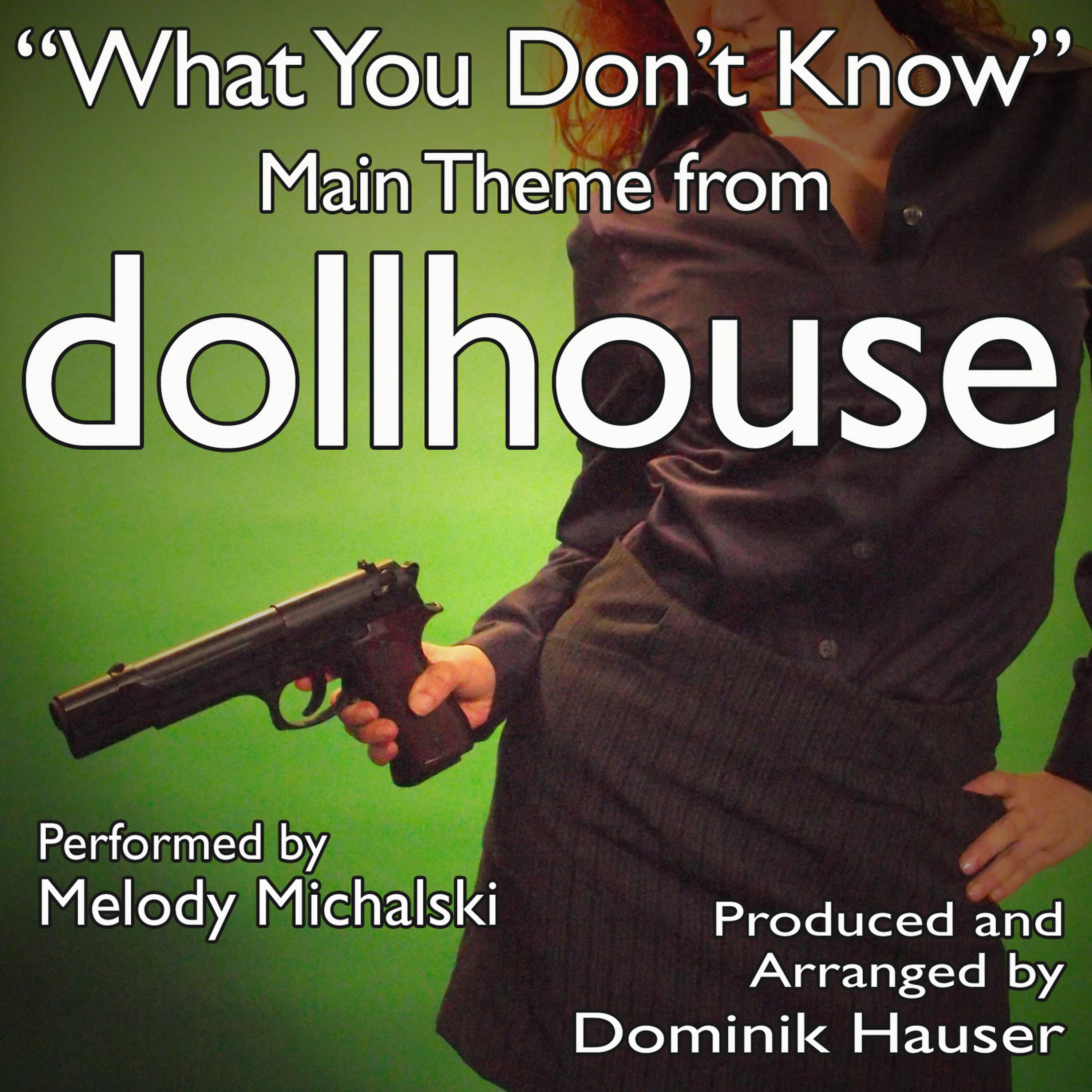 Постер альбома "What You Don't Know" (Theme from "Dollhouse")