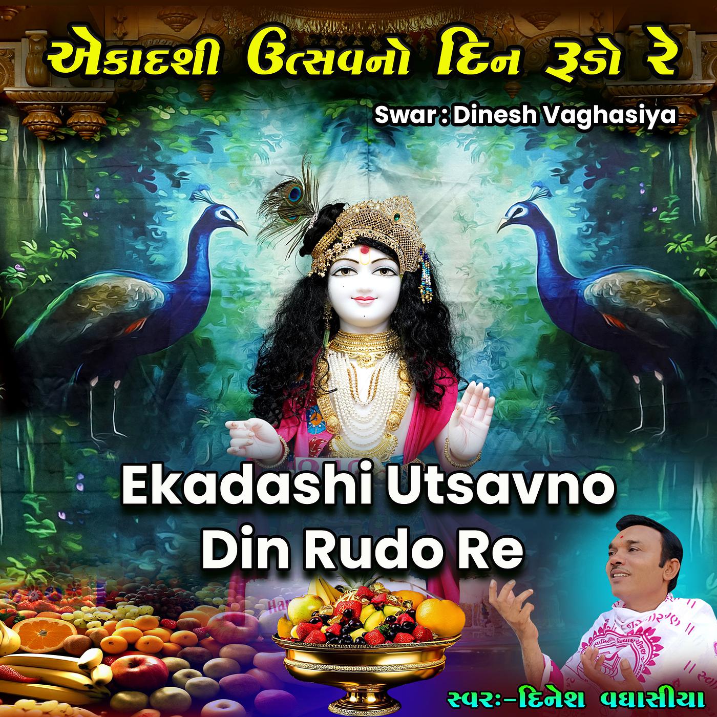 Постер альбома Ekadashi Utsavno Din Rudo Re
