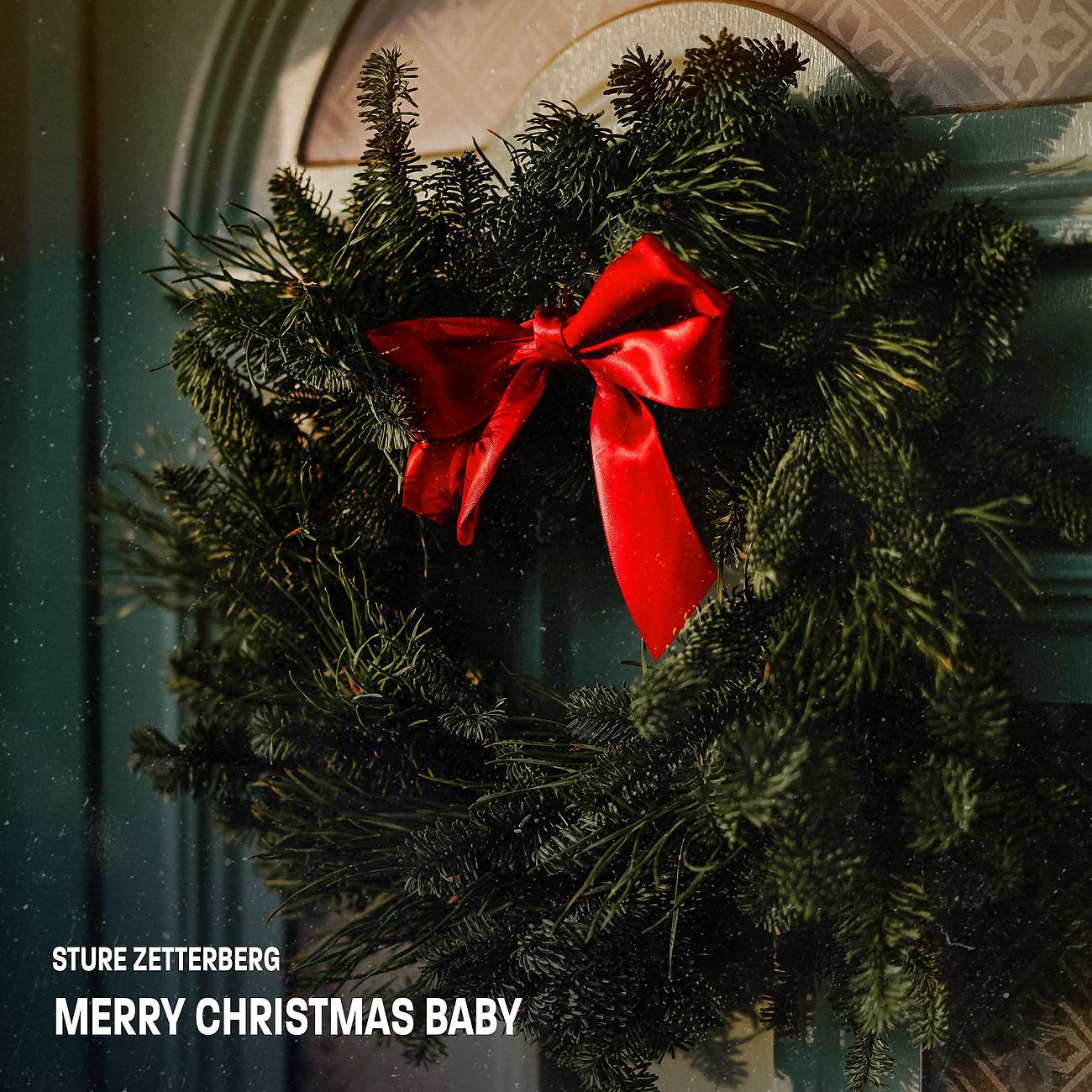 Постер альбома Merry Christmas Baby