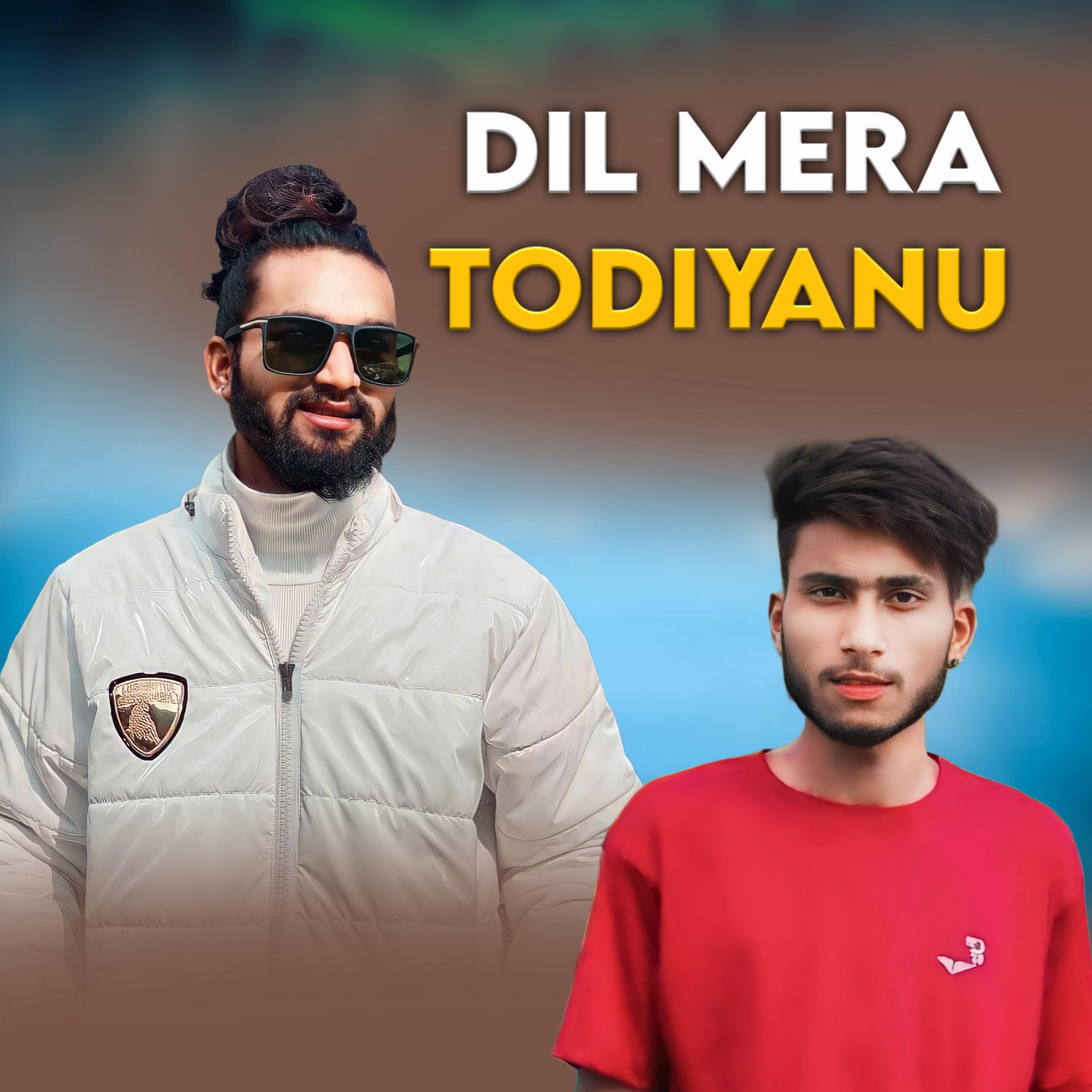 Постер альбома Dil Mera Todiyanu