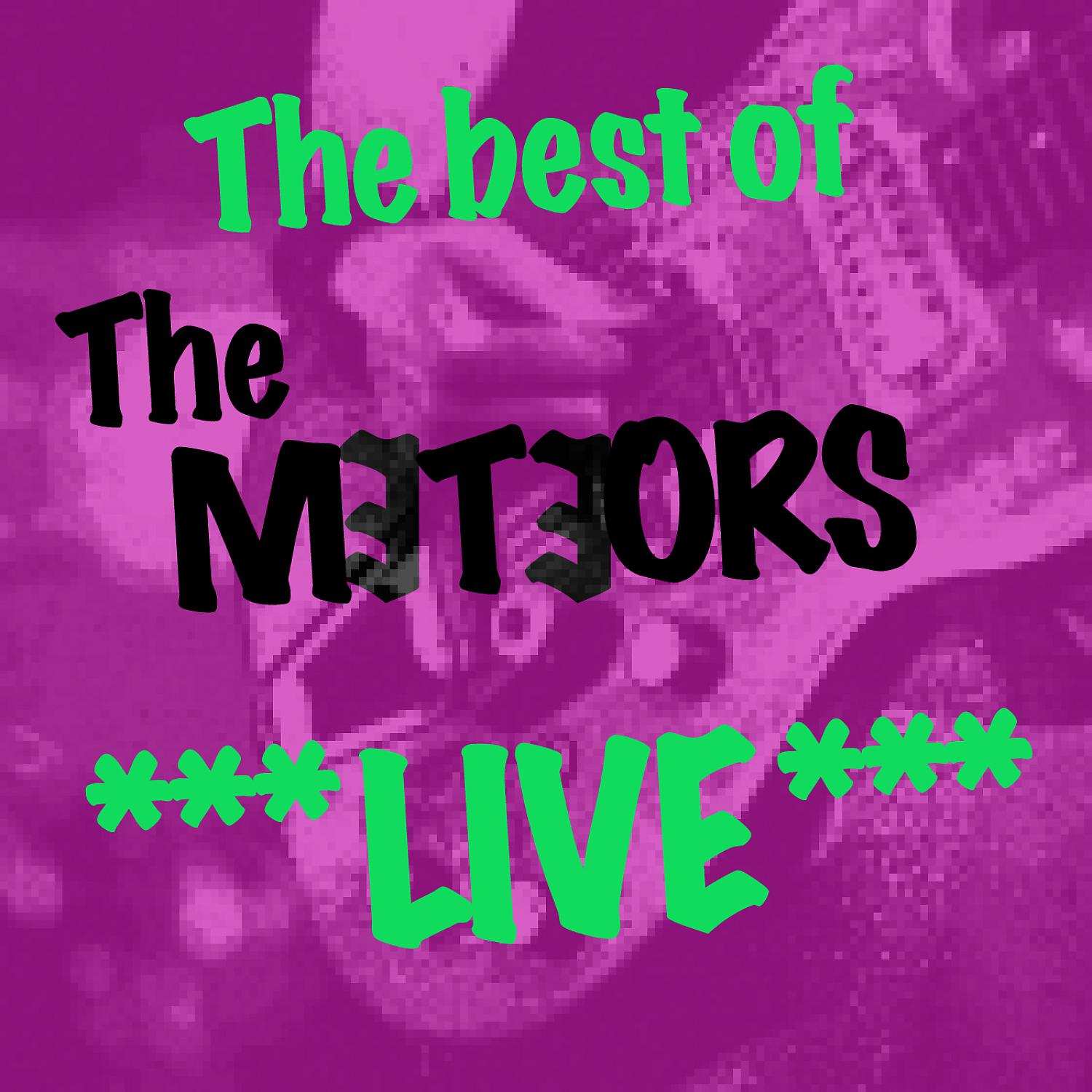 Постер альбома Best of The Meteors Live