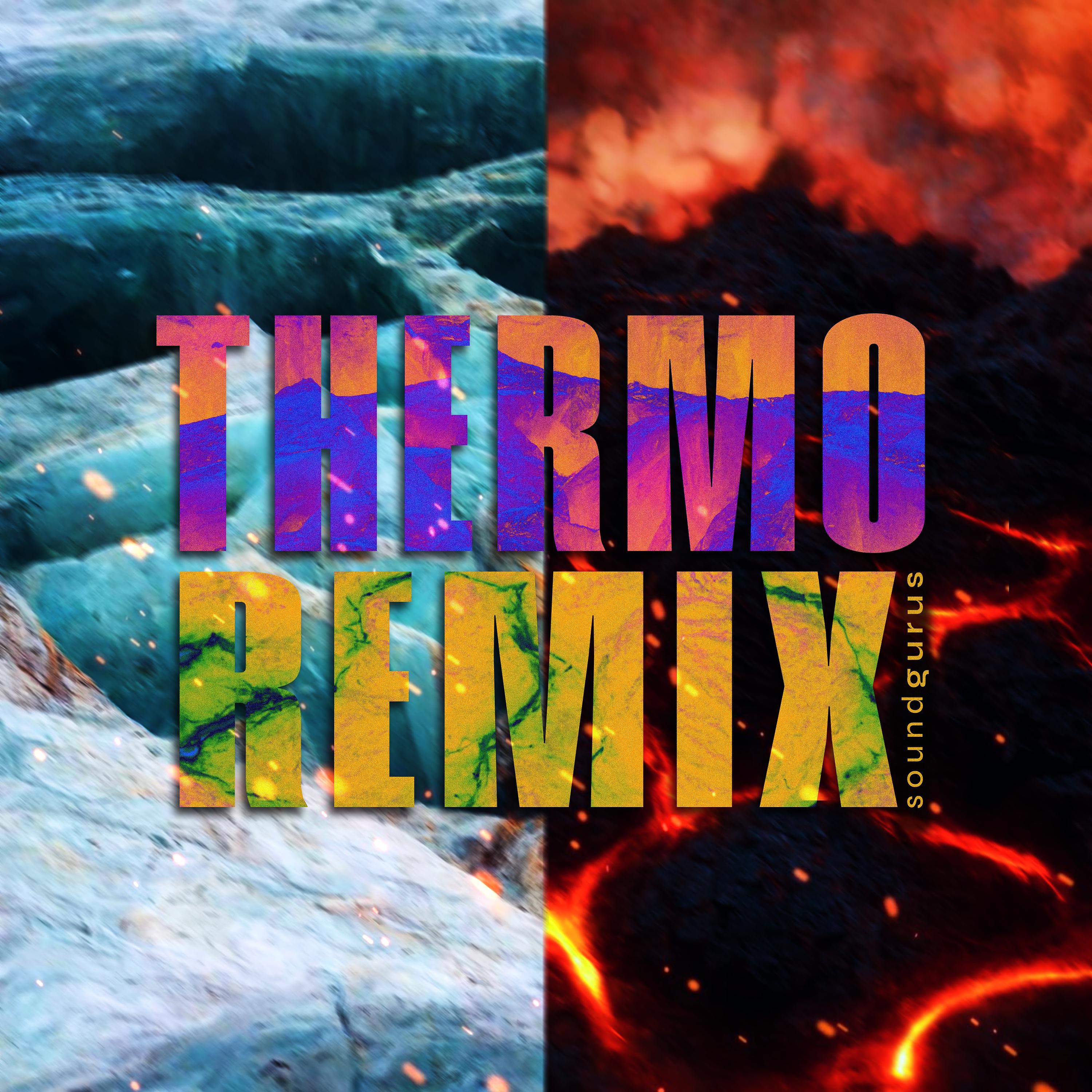 Постер альбома Thermoremix