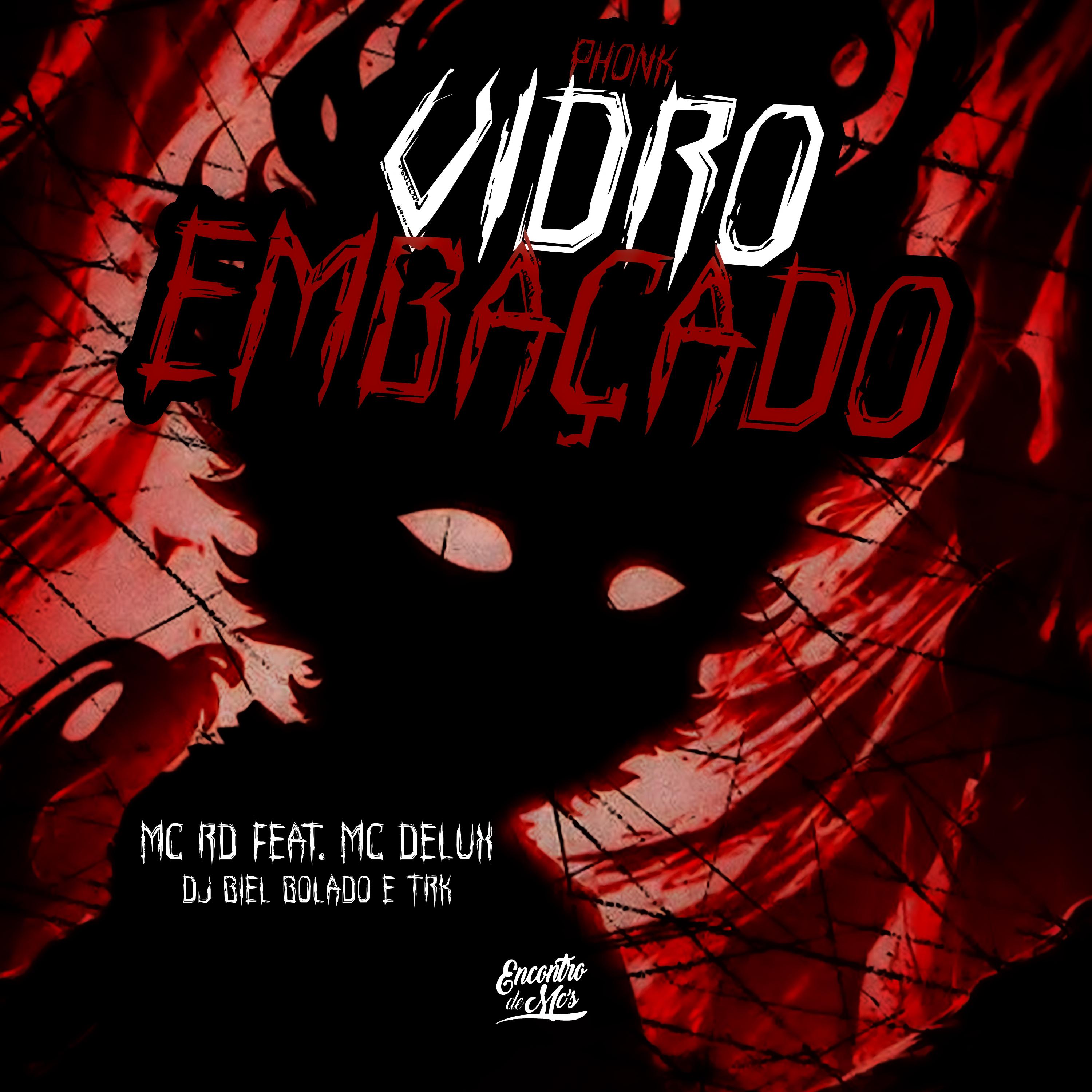 Постер альбома Phonk Vidro Embaçado