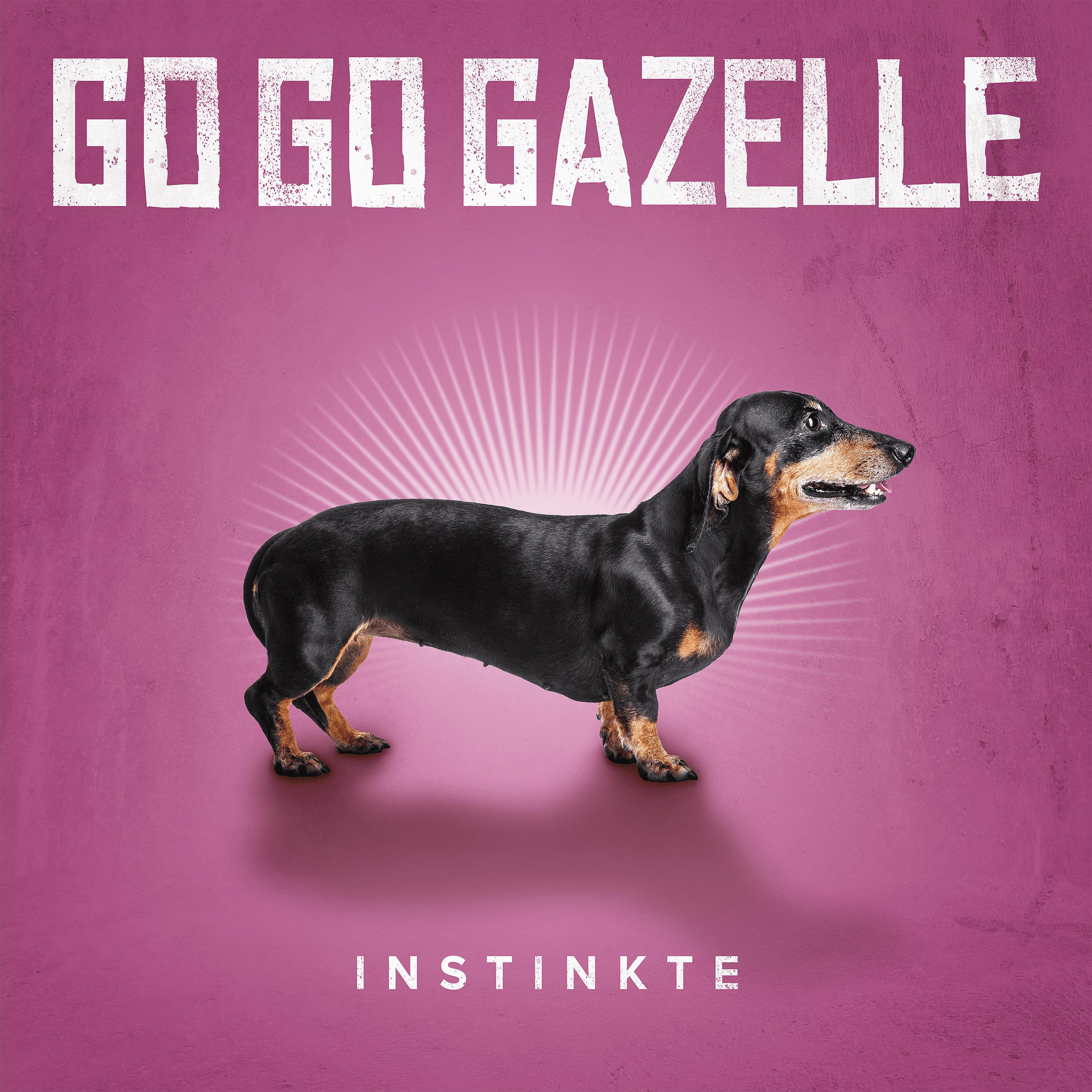 Постер альбома Instinkte