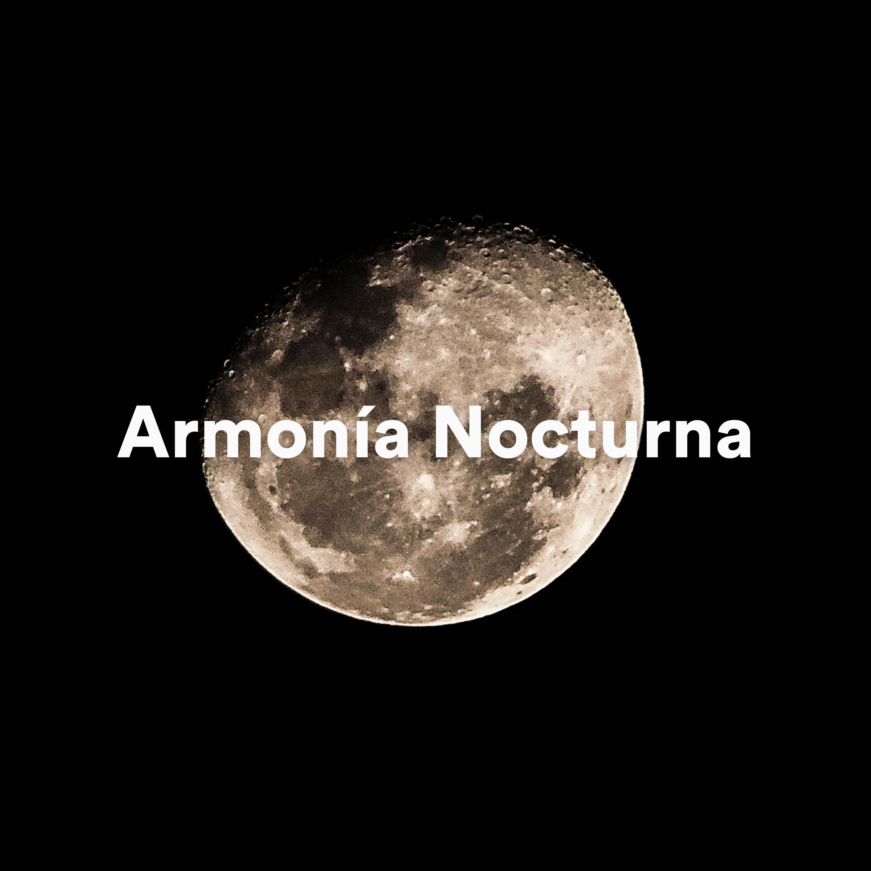 Постер альбома Armonía Nocturna
