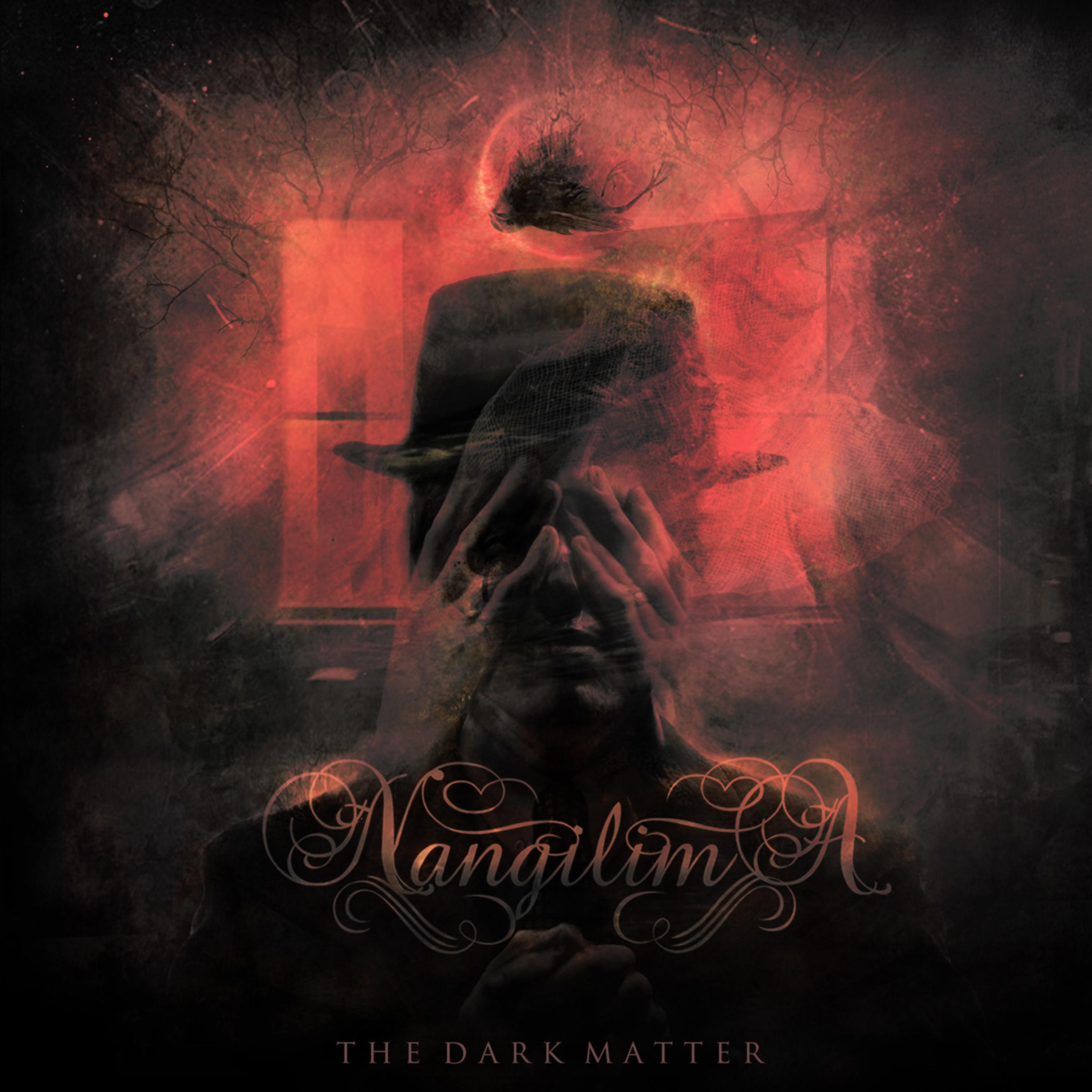 Постер альбома The Dark Matter