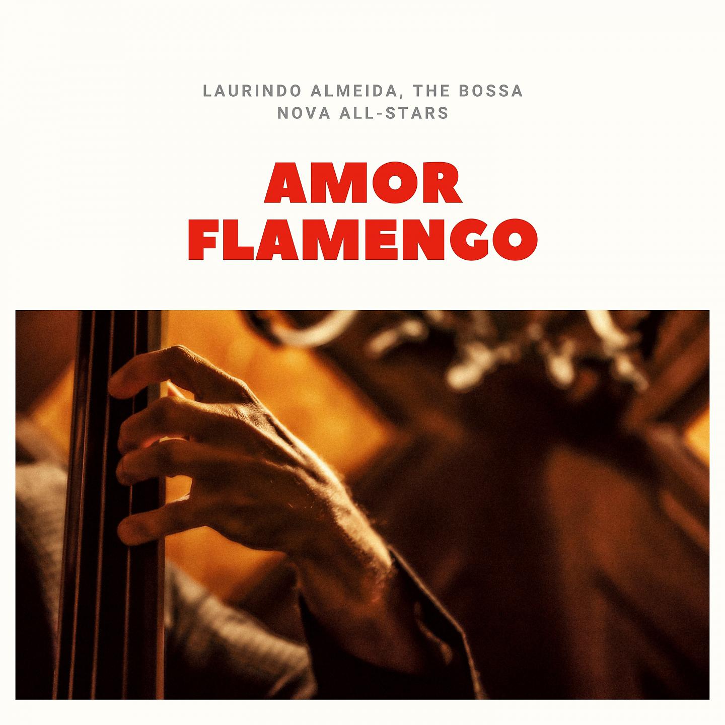Постер альбома Amor Flamengo