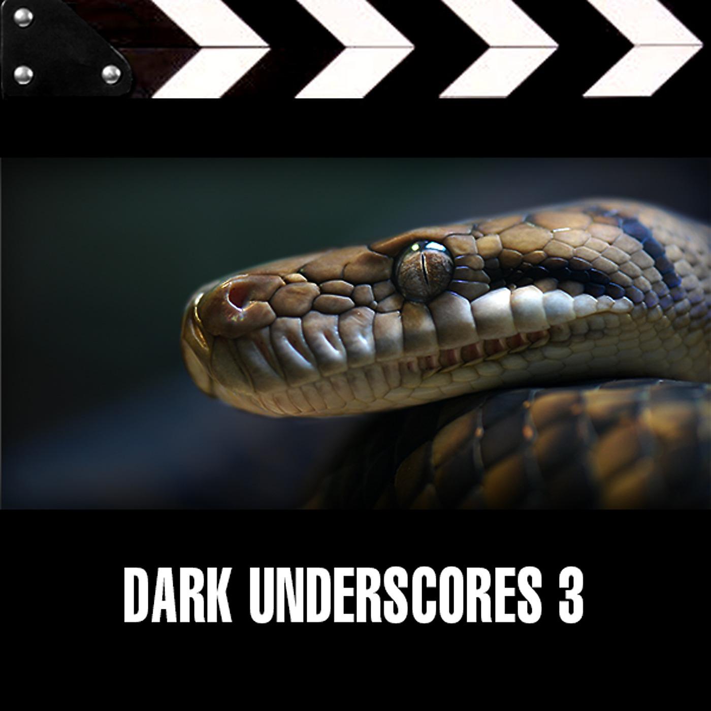 Постер альбома Dark Underscores 3