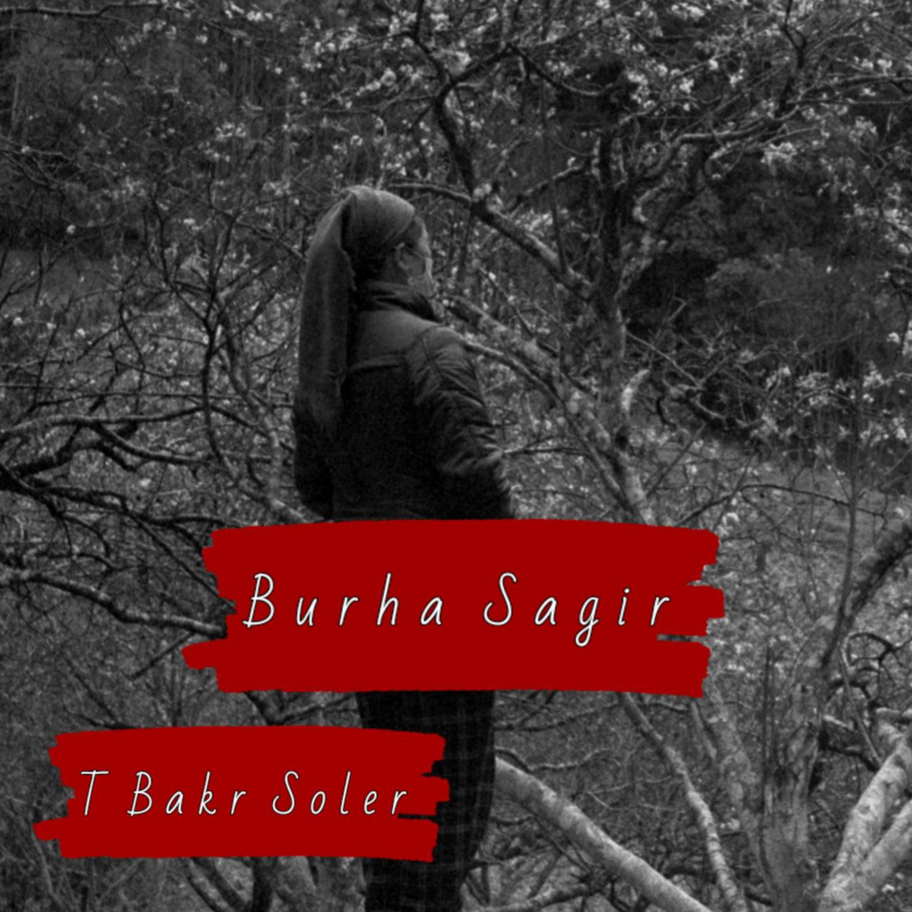 Постер альбома Burha Sagir