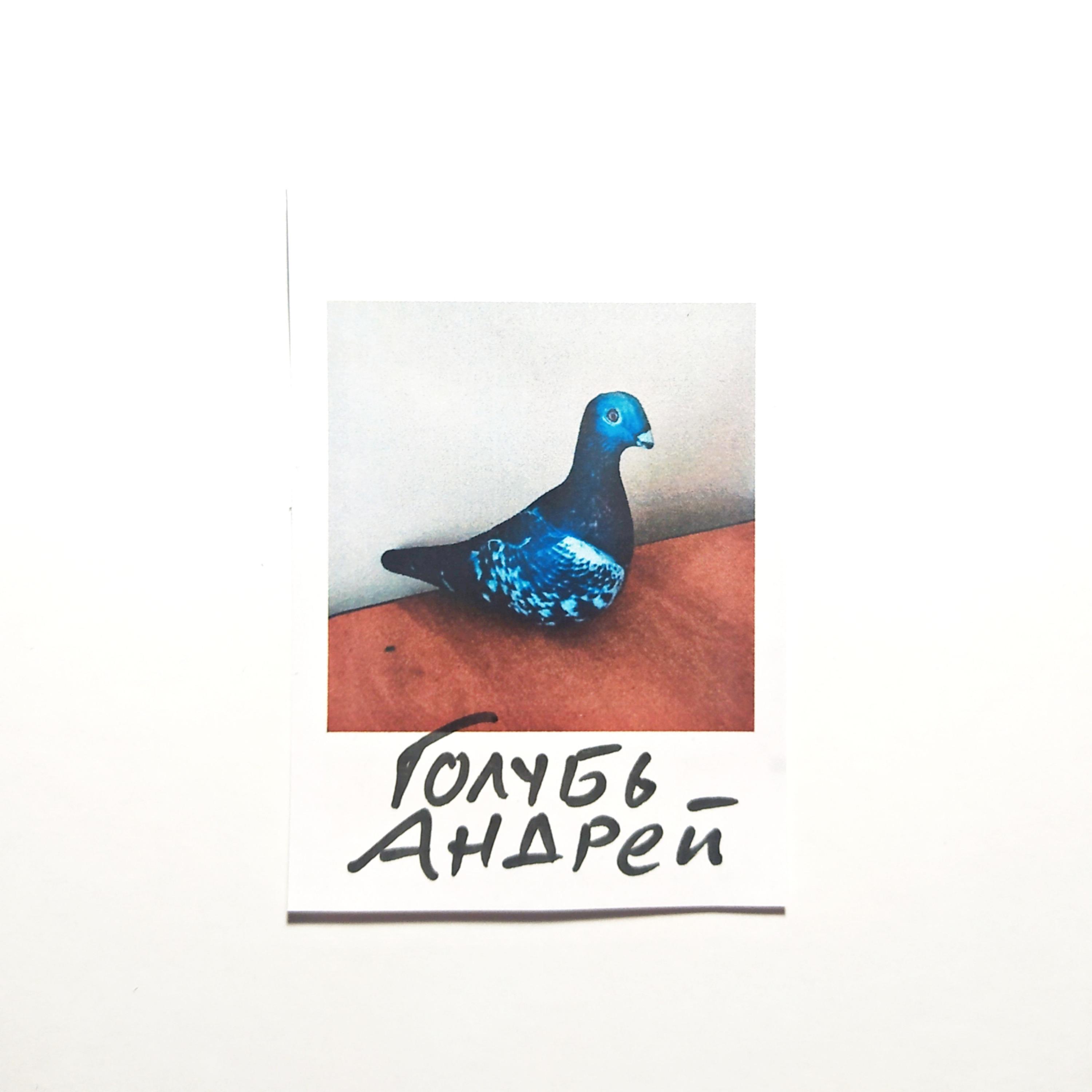 Постер альбома Голубь Андрей