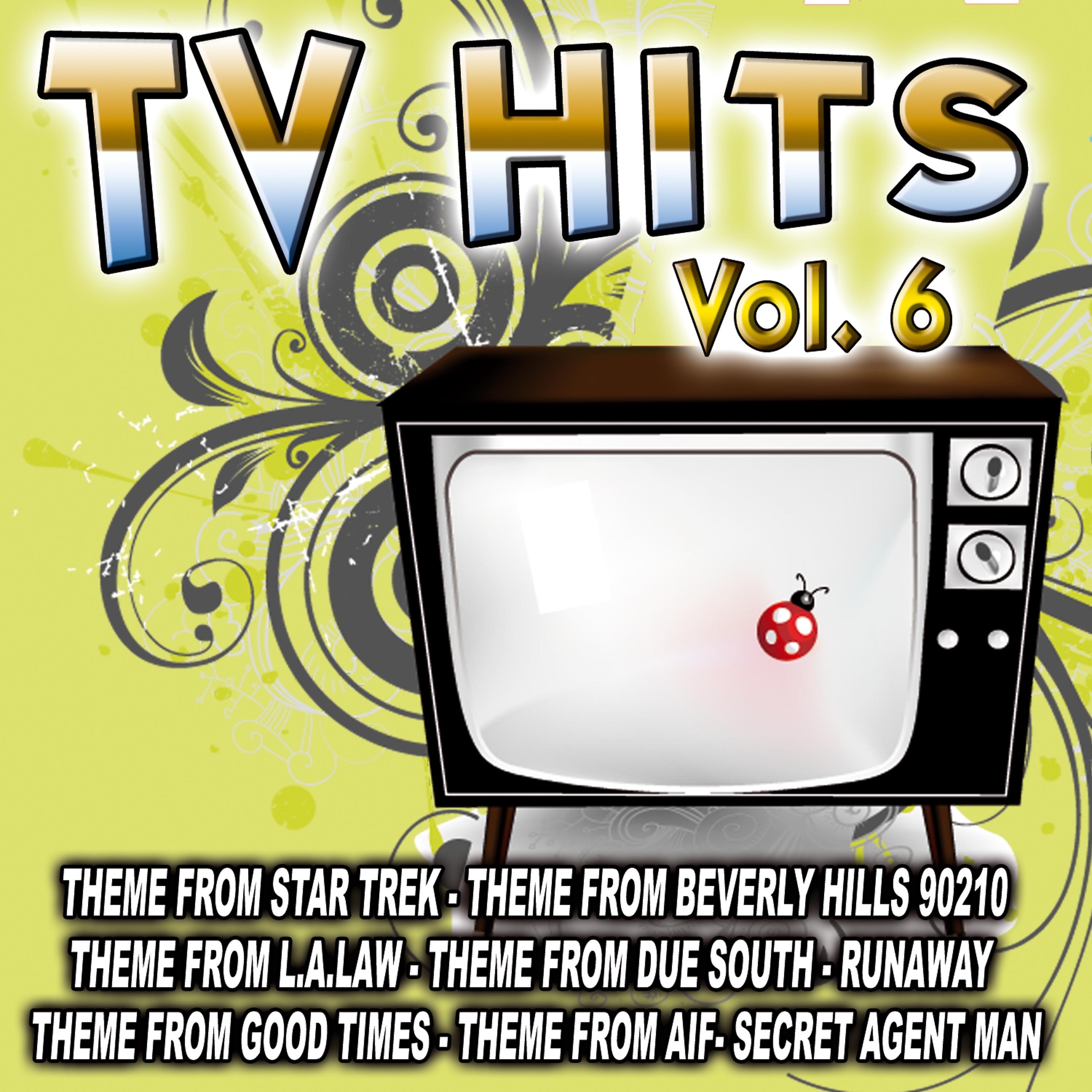 Постер альбома TV Hits Vol. 6
