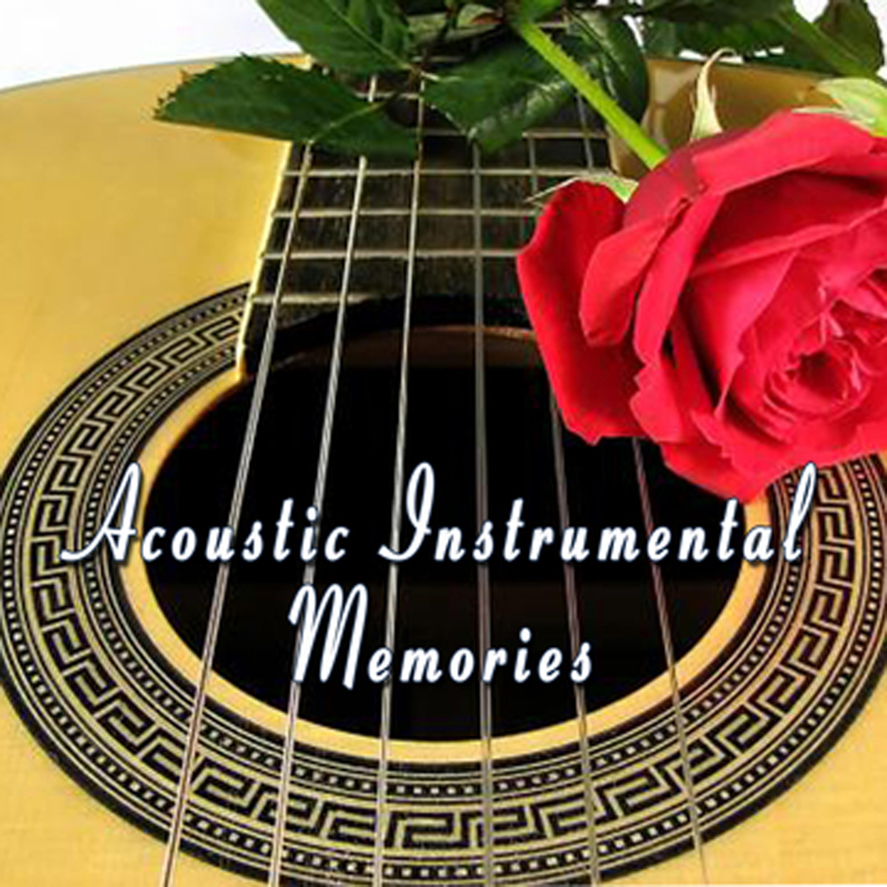 Постер альбома Acoustic Instrumental Memories